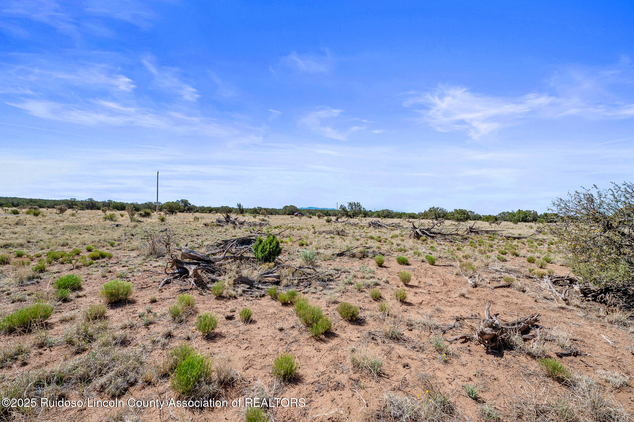 L313 Windmill Ranches, Ancho, New Mexico image 16
