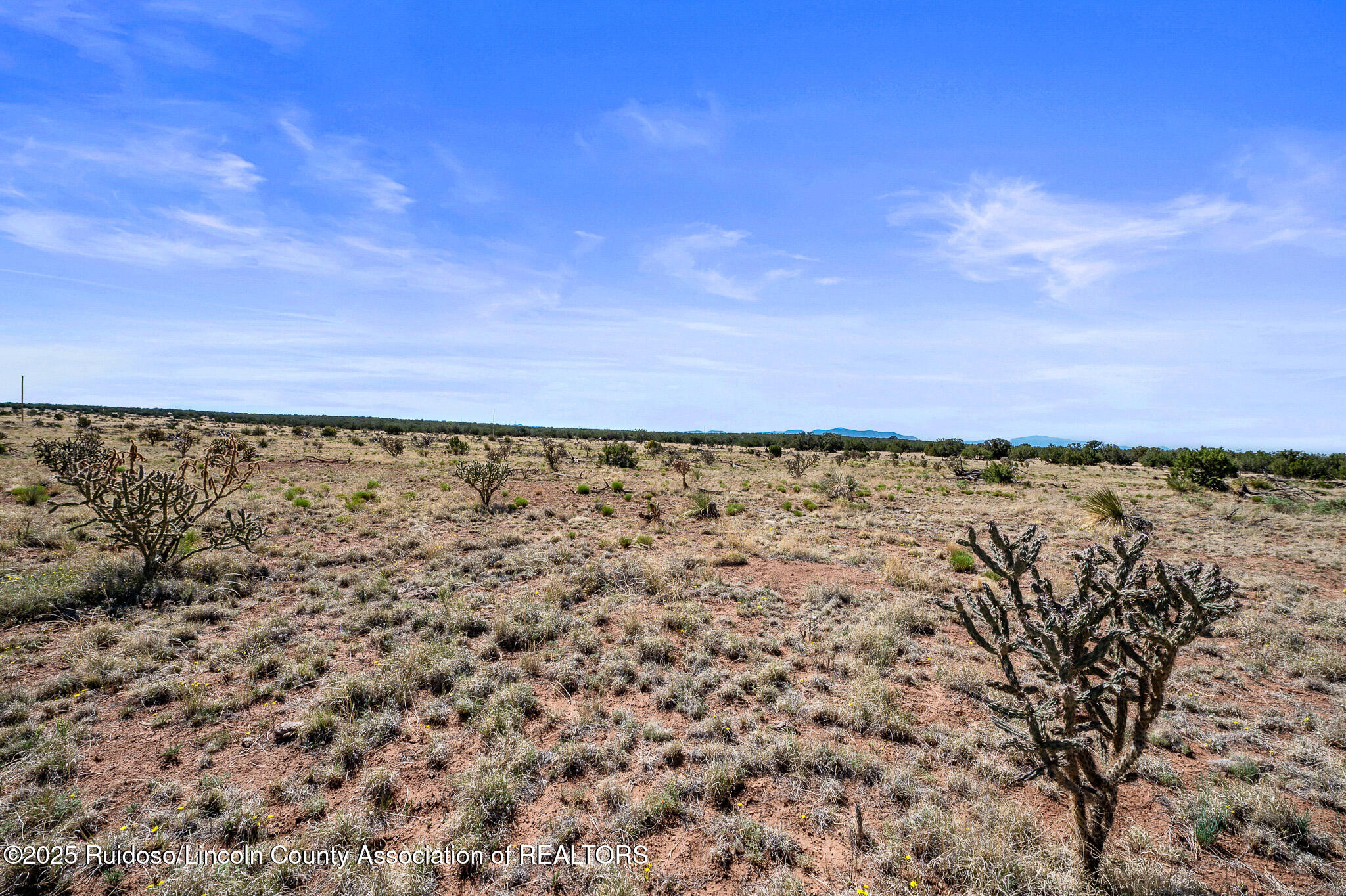 L313 Windmill Ranches, Ancho, New Mexico image 11