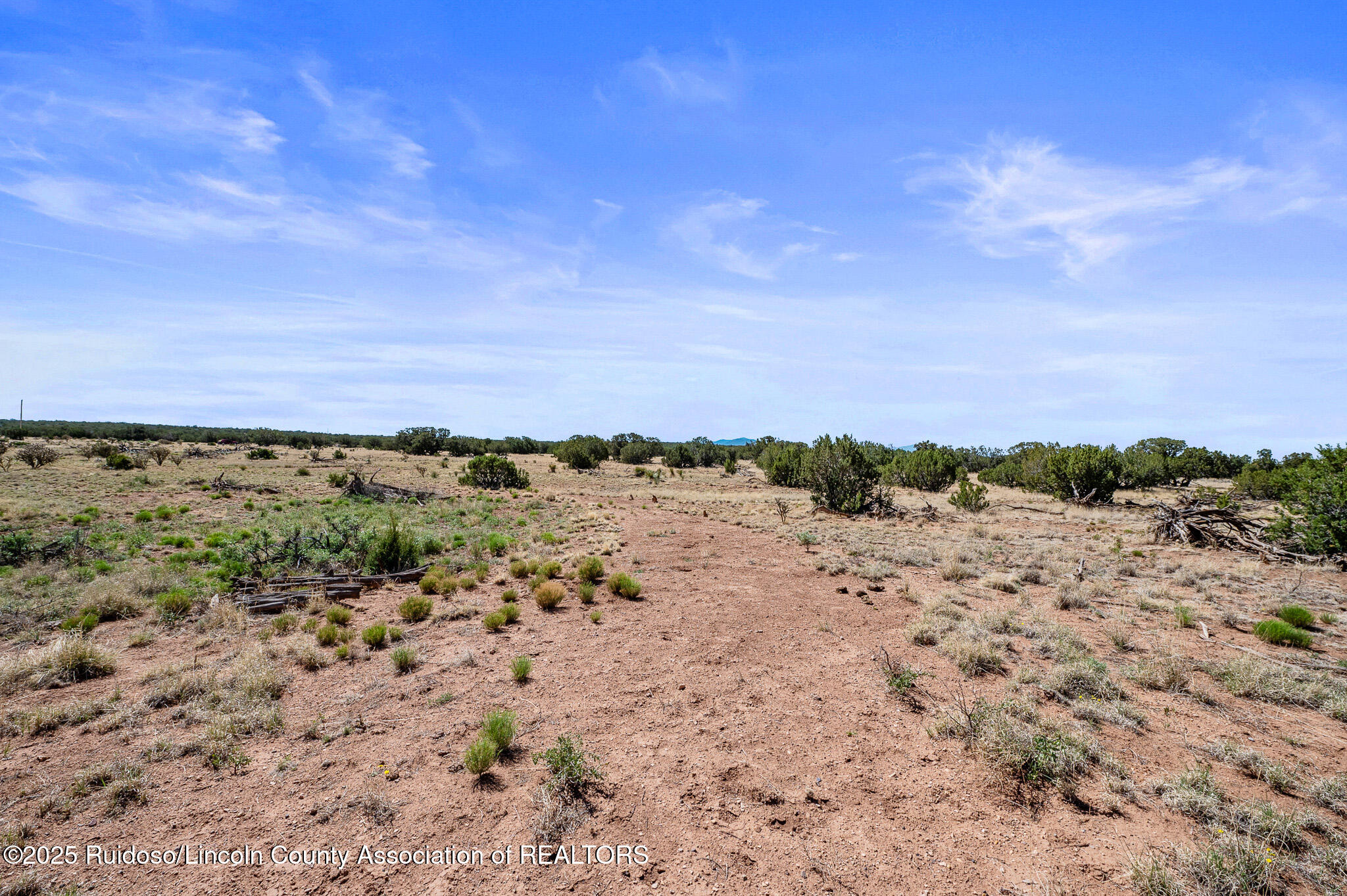L313 Windmill Ranches, Ancho, New Mexico image 5