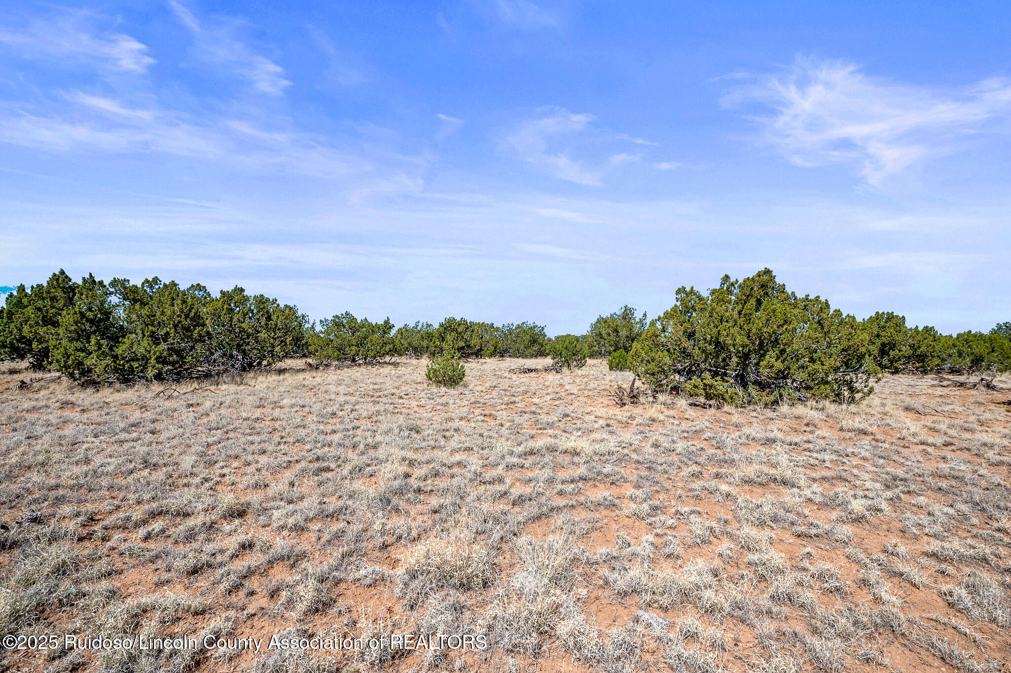 L313 Windmill Ranches, Ancho, New Mexico image 7