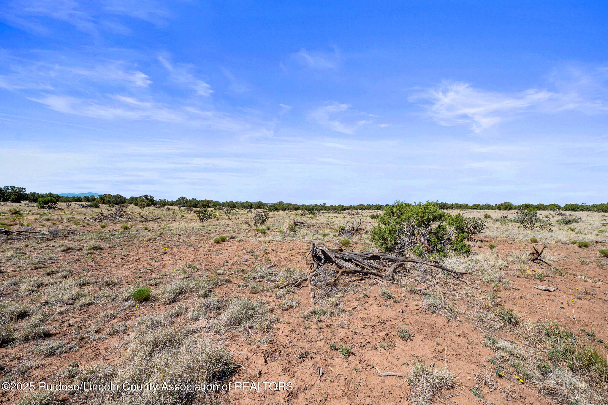 L313 Windmill Ranches, Ancho, New Mexico image 13