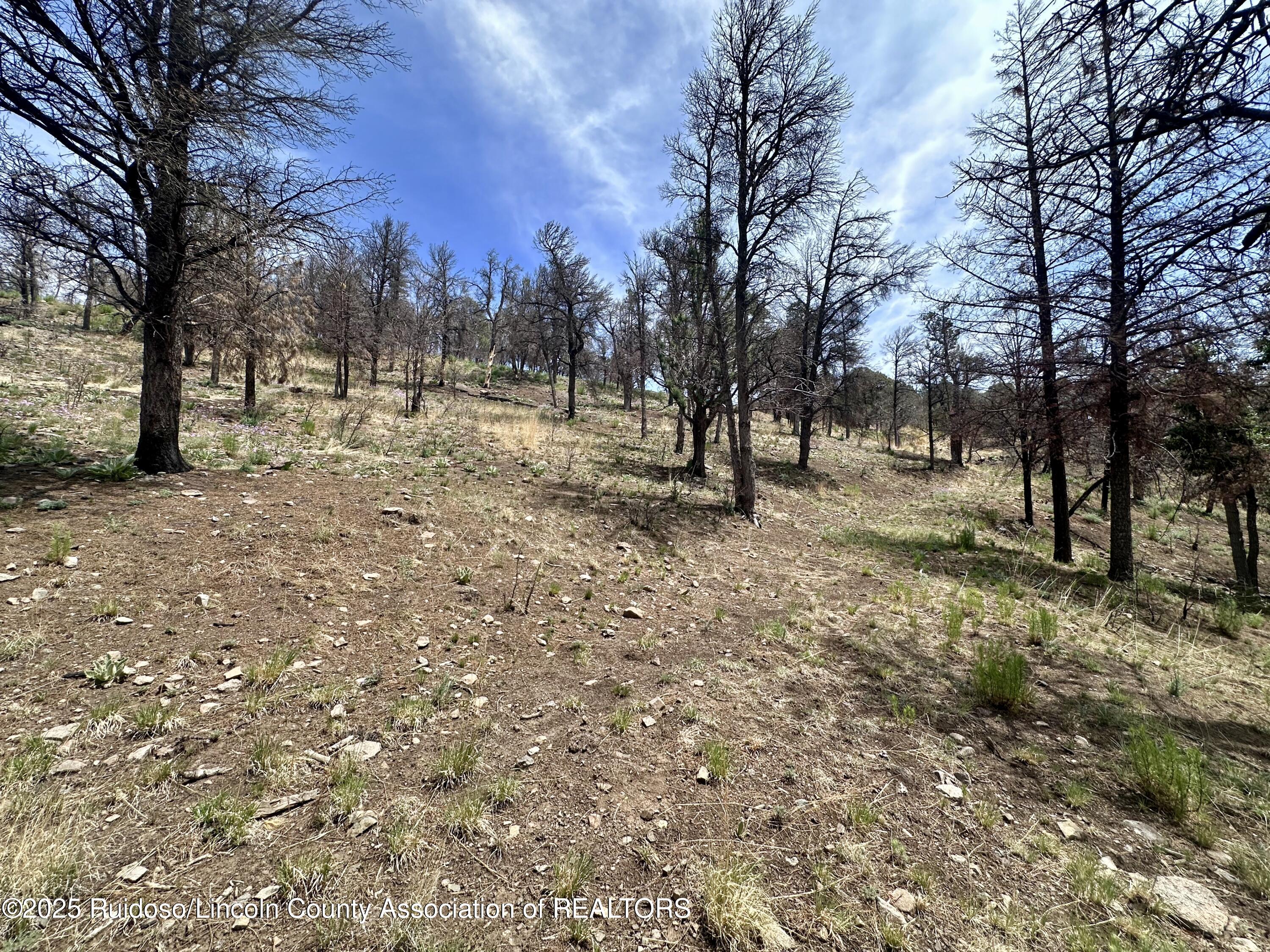 Lot 10 Alpine Village Drive, Ruidoso, New Mexico image 10