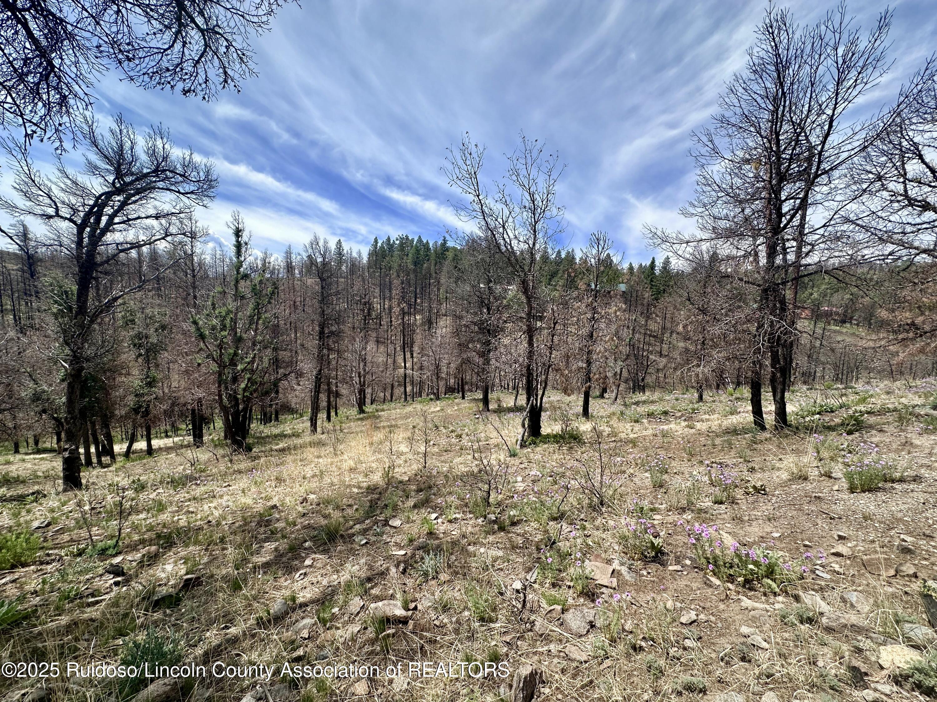 Lot 10 Alpine Village Drive, Ruidoso, New Mexico image 4