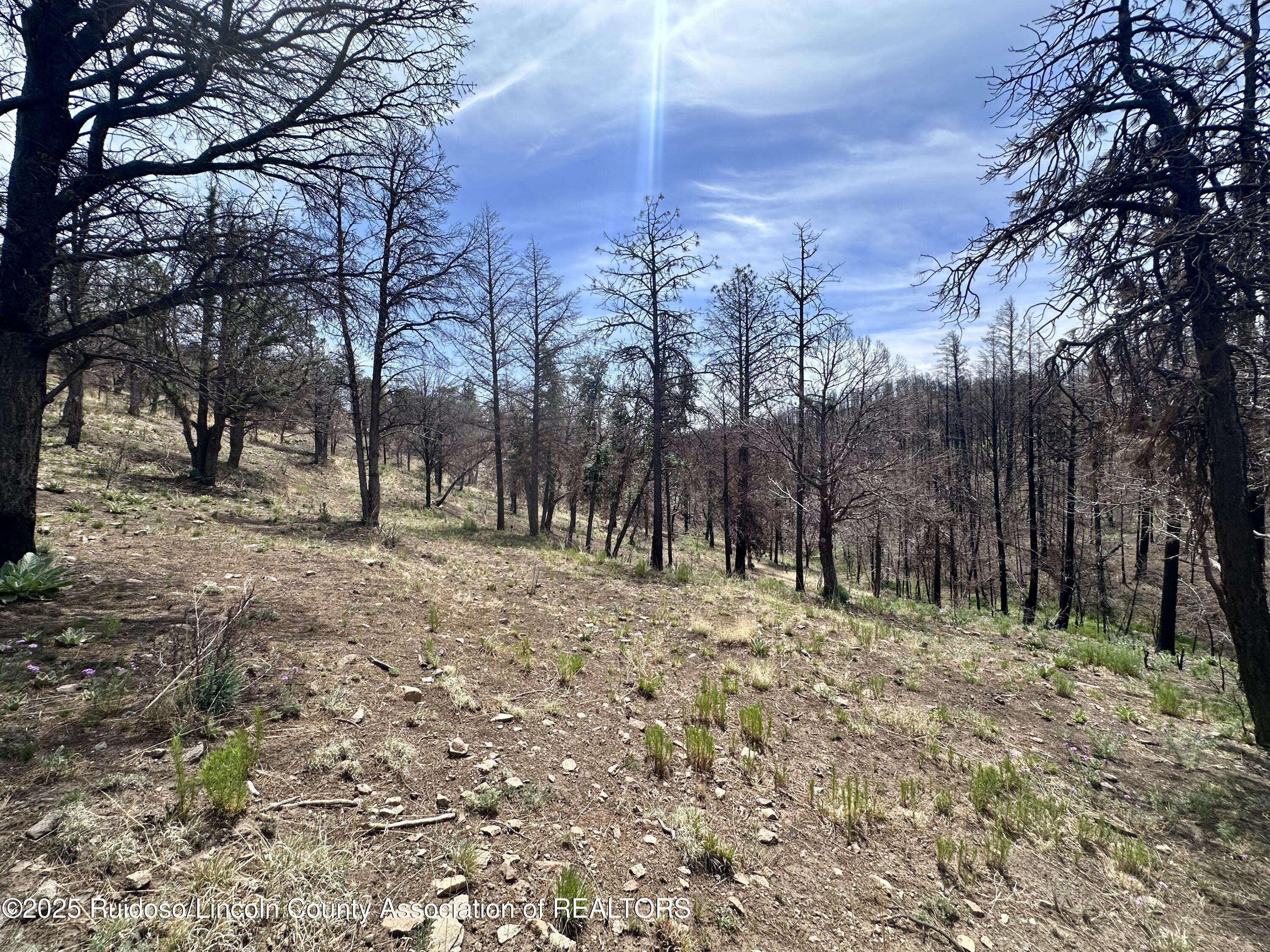 Lot 10 Alpine Village Drive, Ruidoso, New Mexico image 3