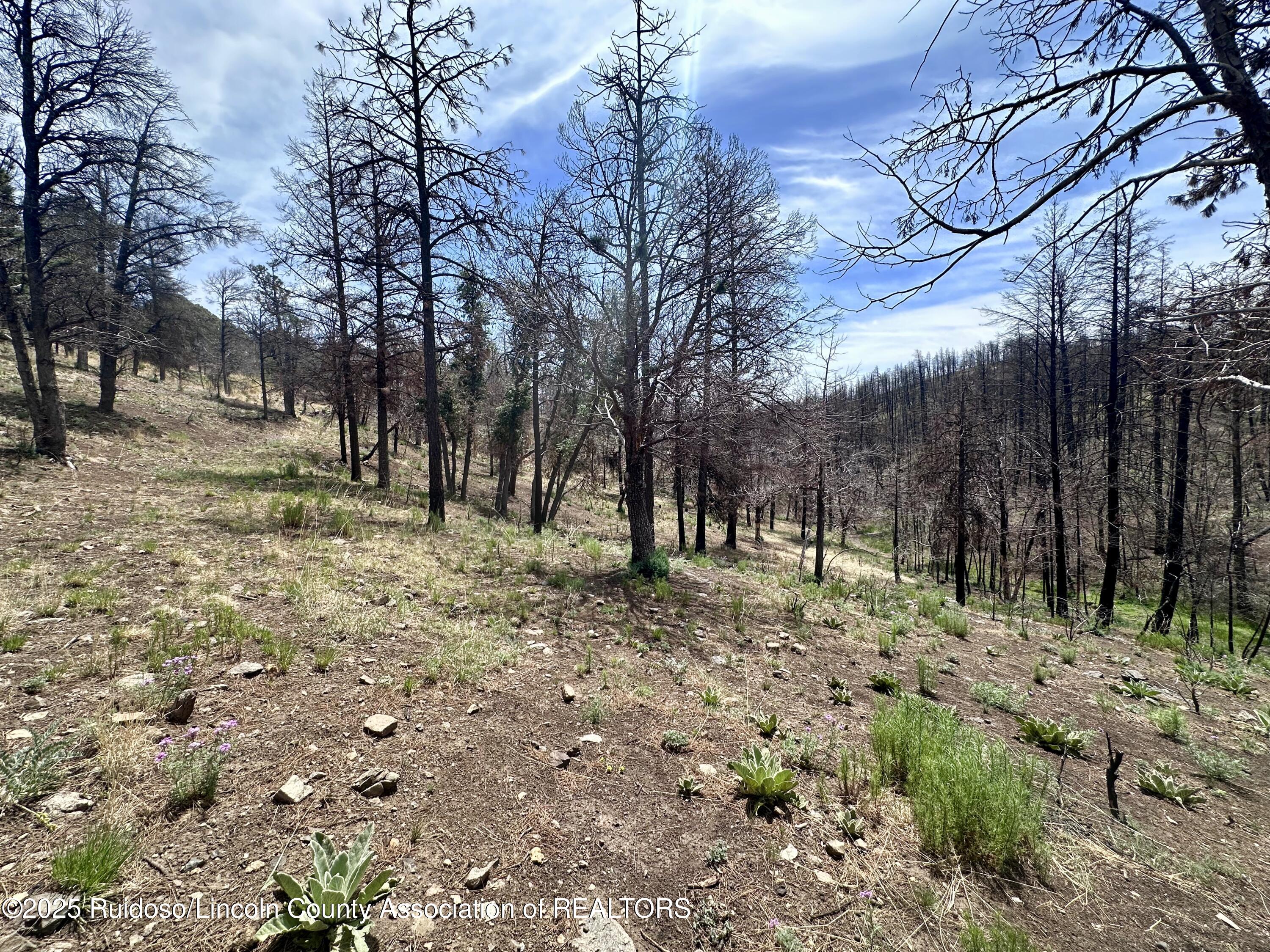 Lot 10 Alpine Village Drive, Ruidoso, New Mexico image 8