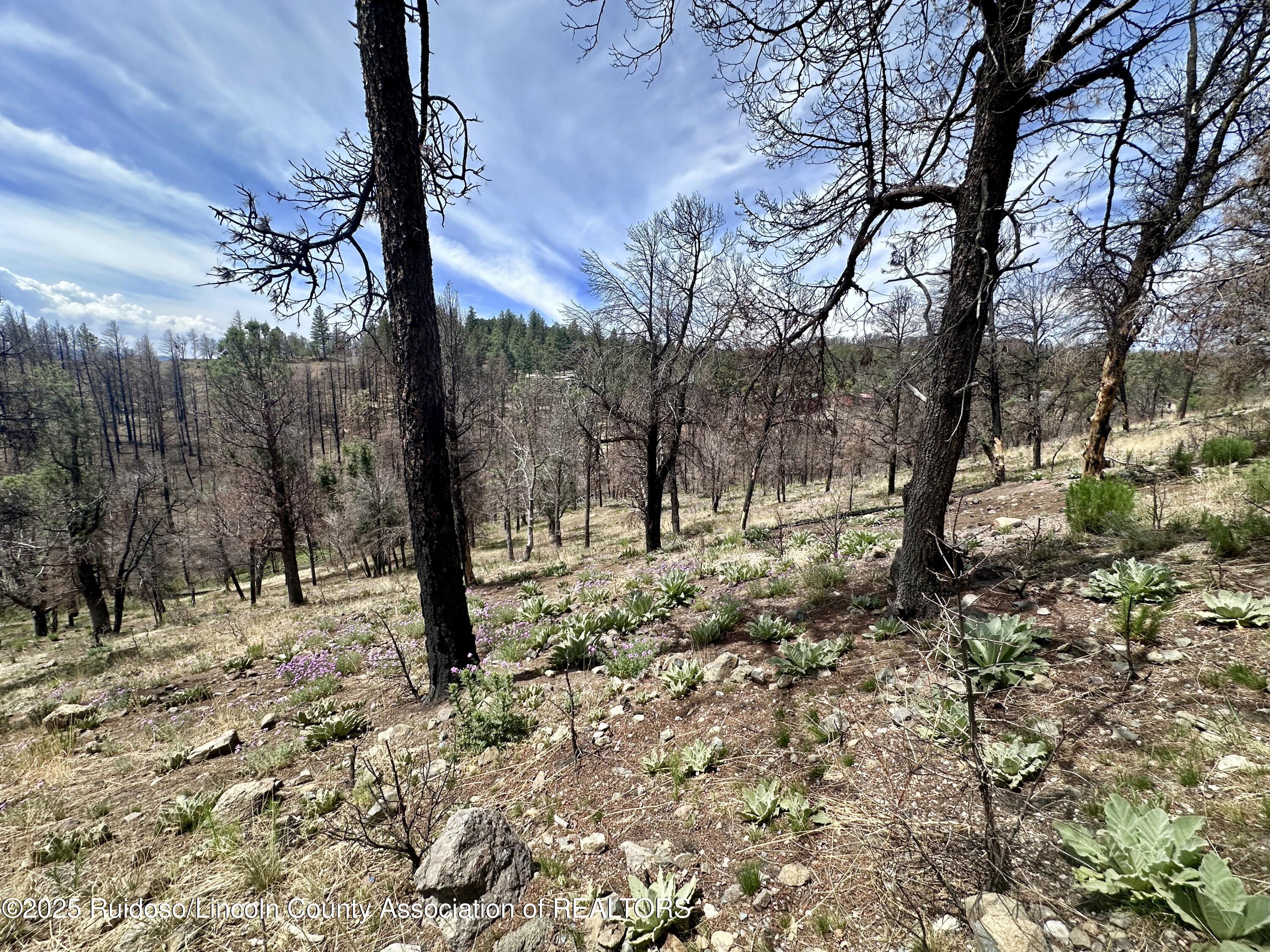 Lot 10 Alpine Village Drive, Ruidoso, New Mexico image 5
