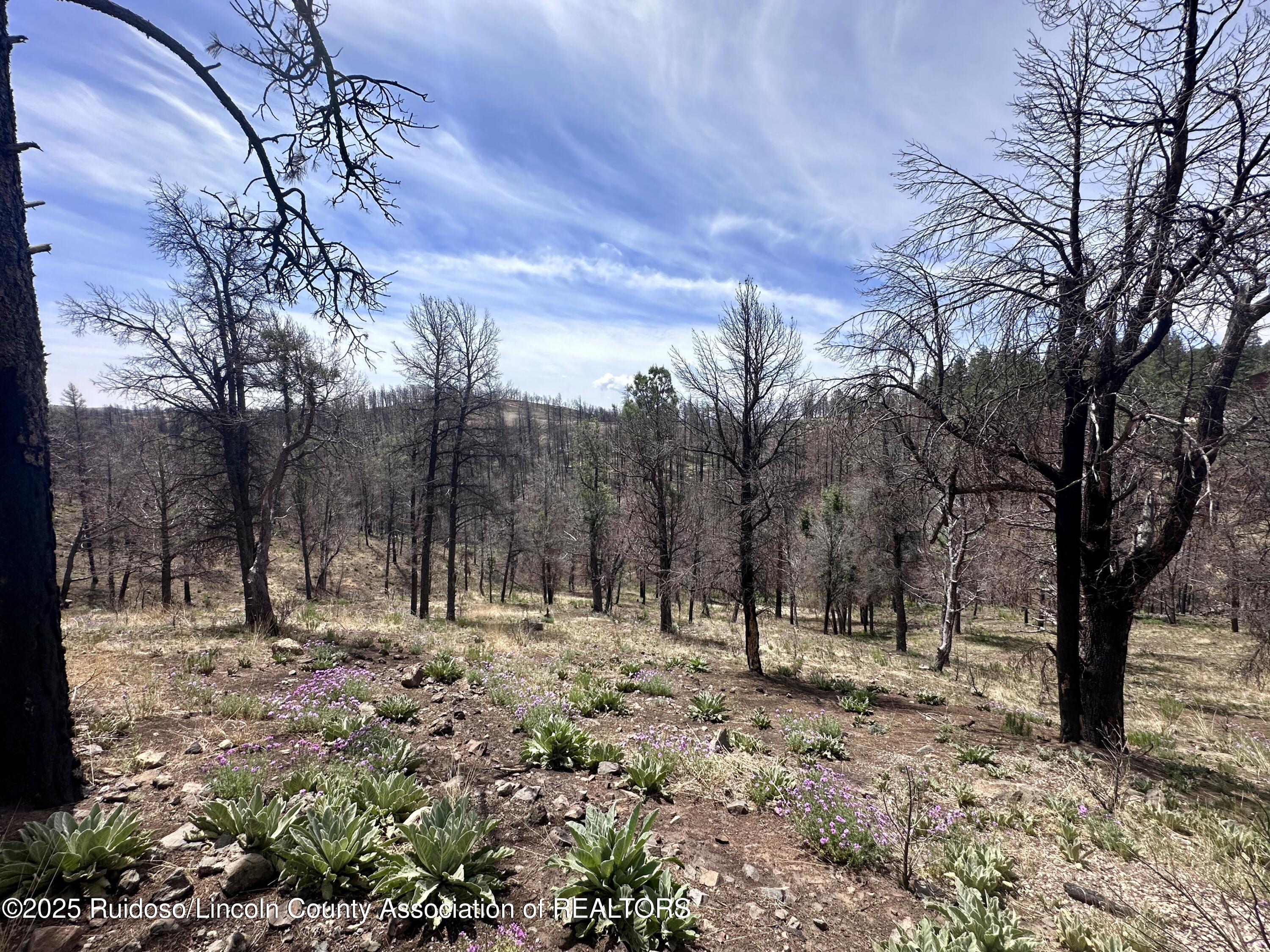 Lot 10 Alpine Village Drive, Ruidoso, New Mexico image 6