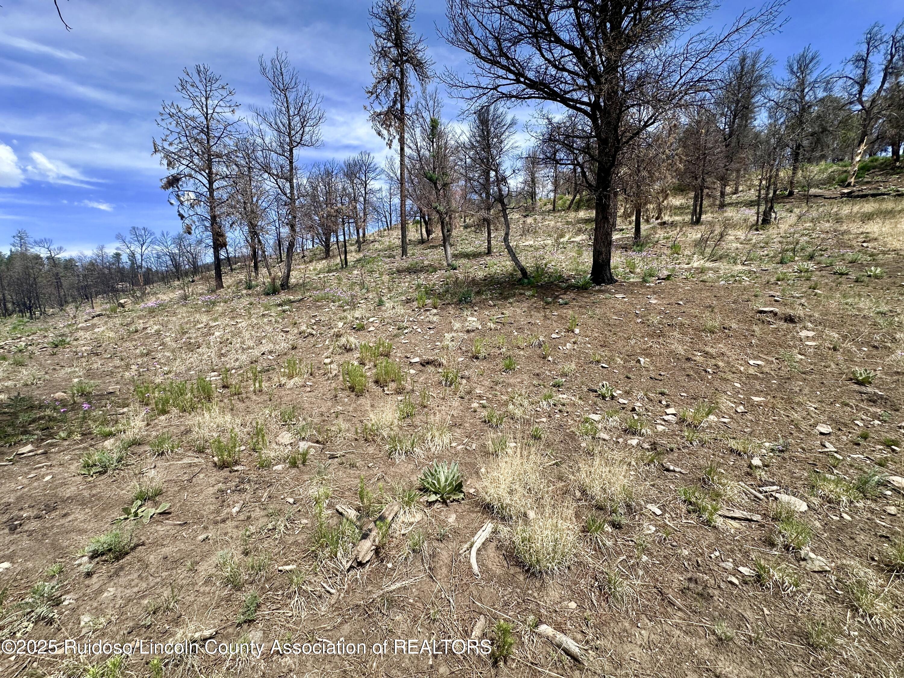 Lot 10 Alpine Village Drive, Ruidoso, New Mexico image 9