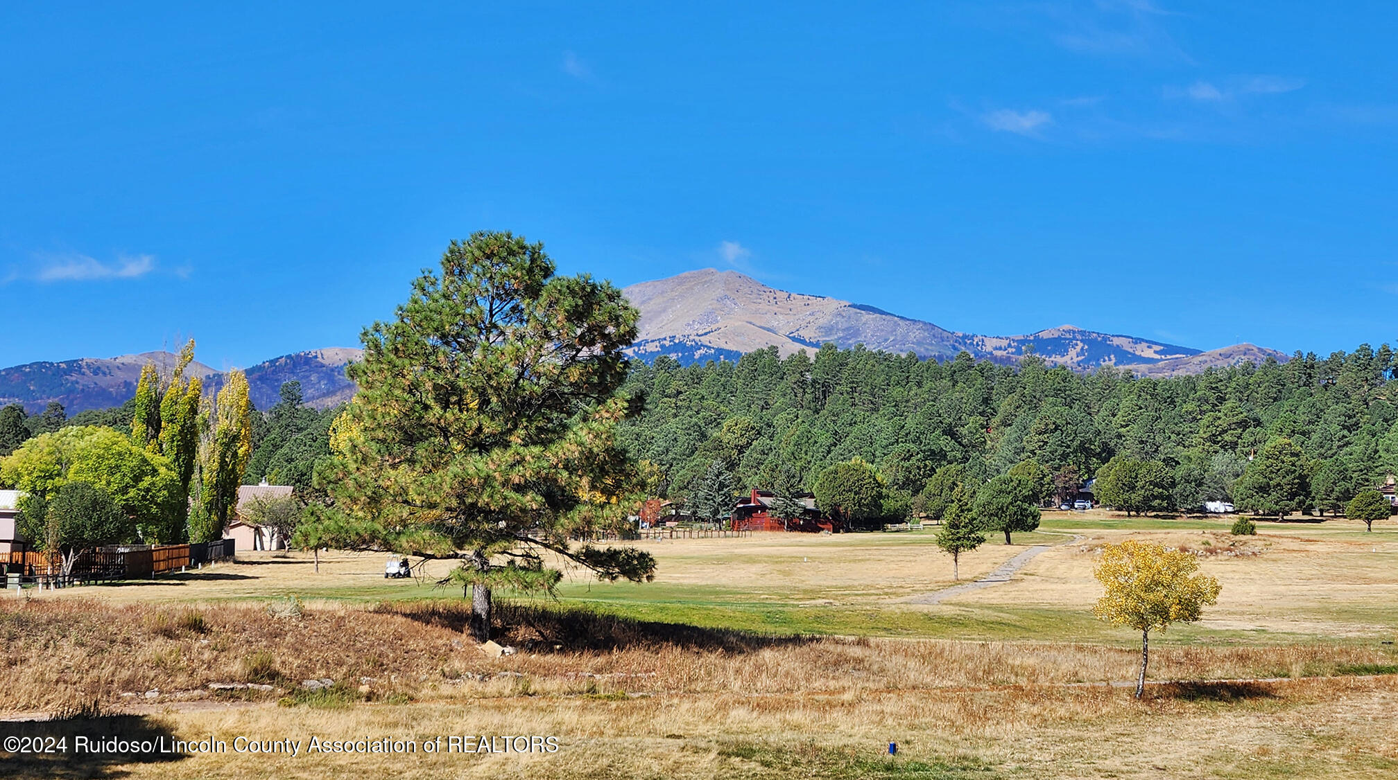 111 Bogie Lane #10, Ruidoso, New Mexico image 5