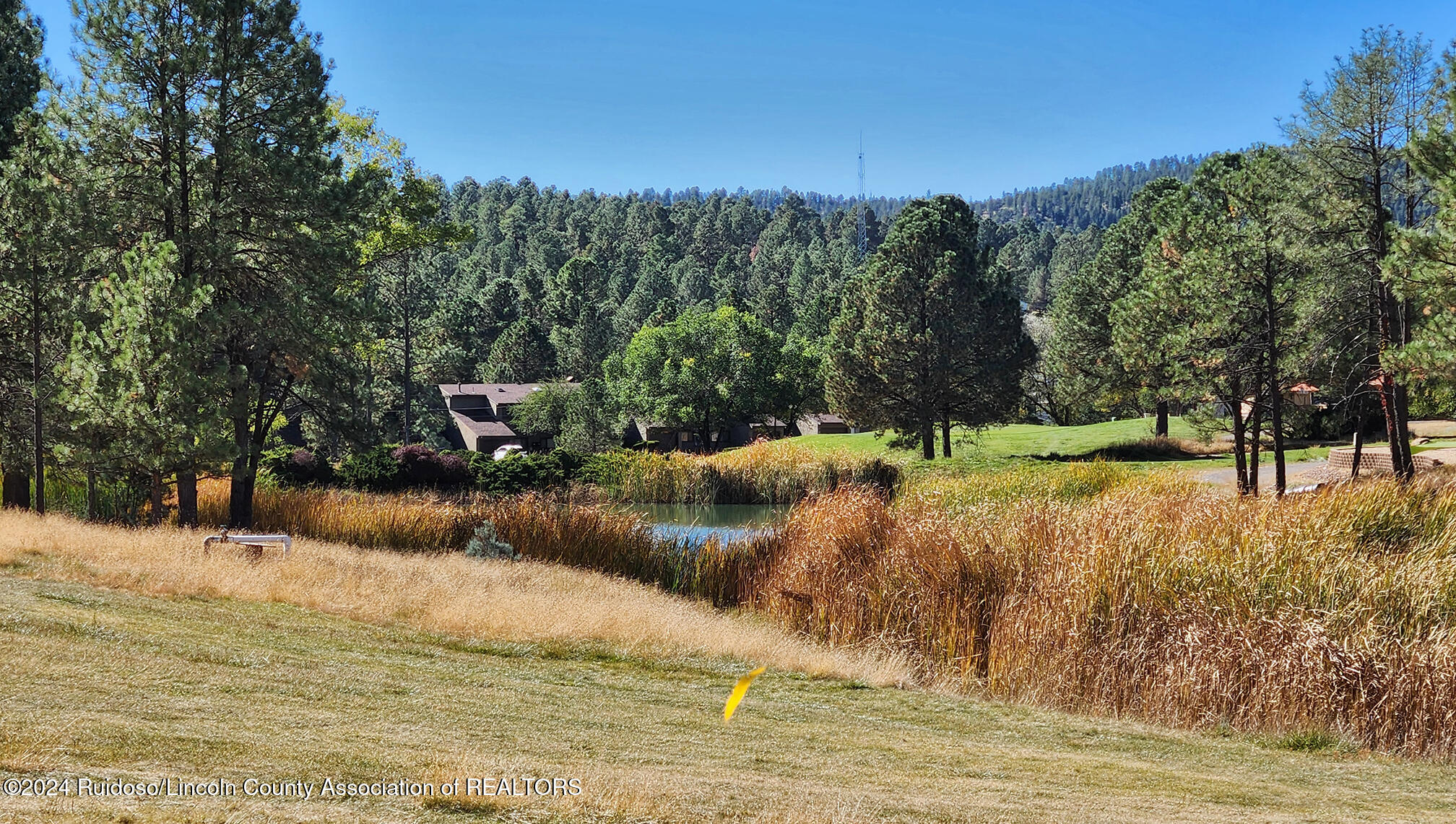 111 Bogie Lane #10, Ruidoso, New Mexico image 6