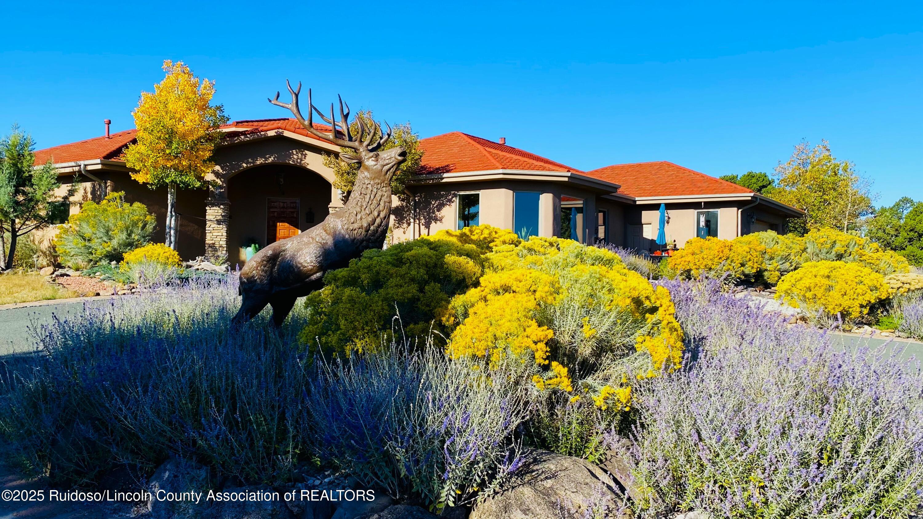 151 Country Lane, Alto, New Mexico image 3