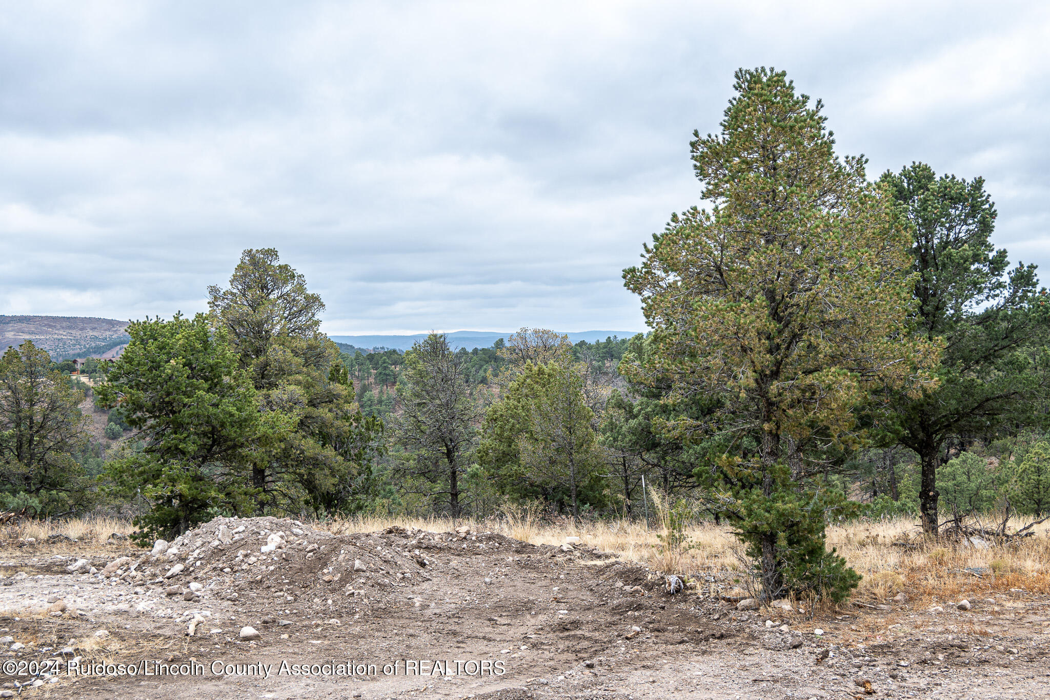 150 Walter Hagen Drive #4, Alto, New Mexico image 28