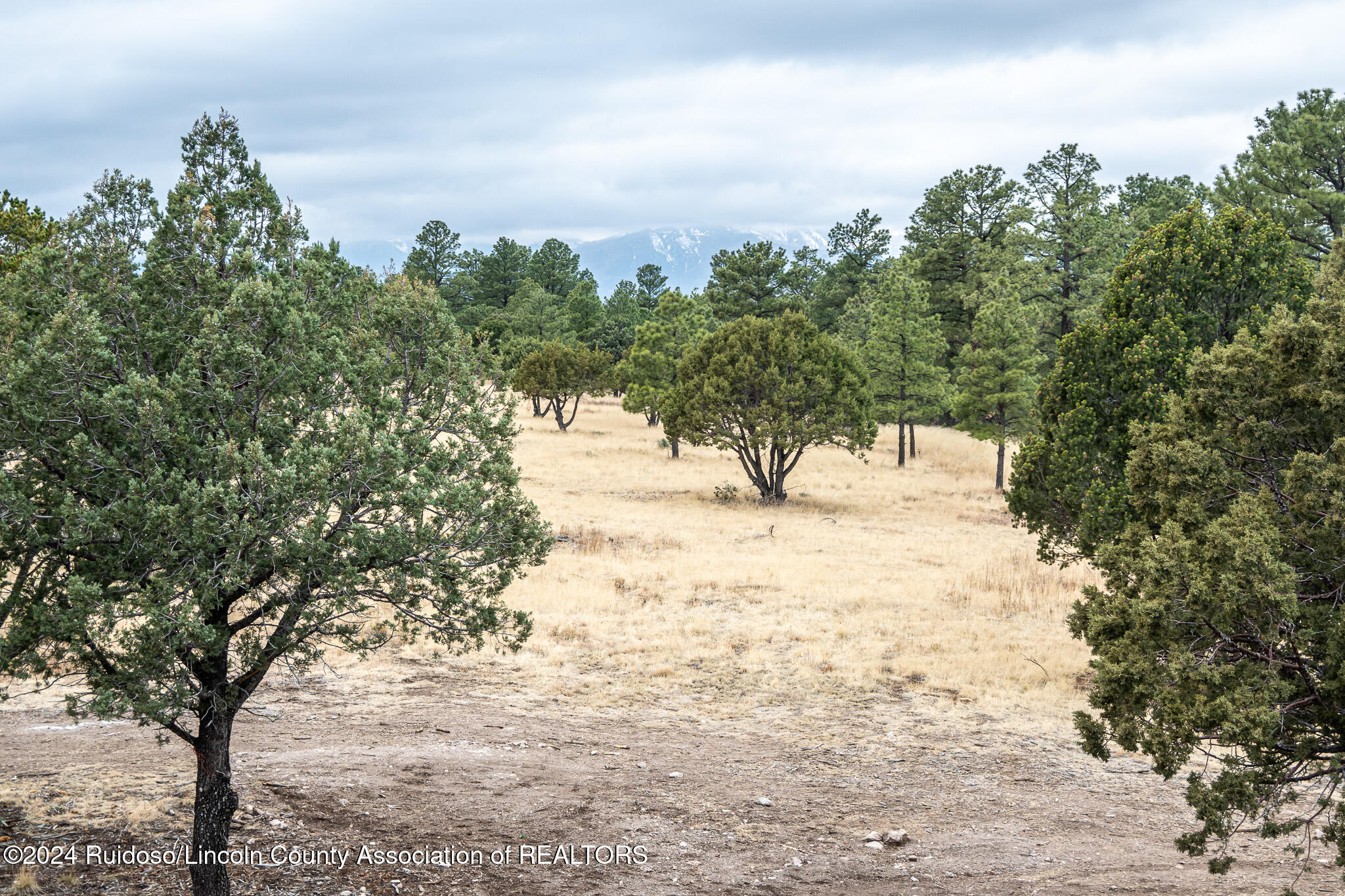 150 Walter Hagen Drive #4, Alto, New Mexico image 15