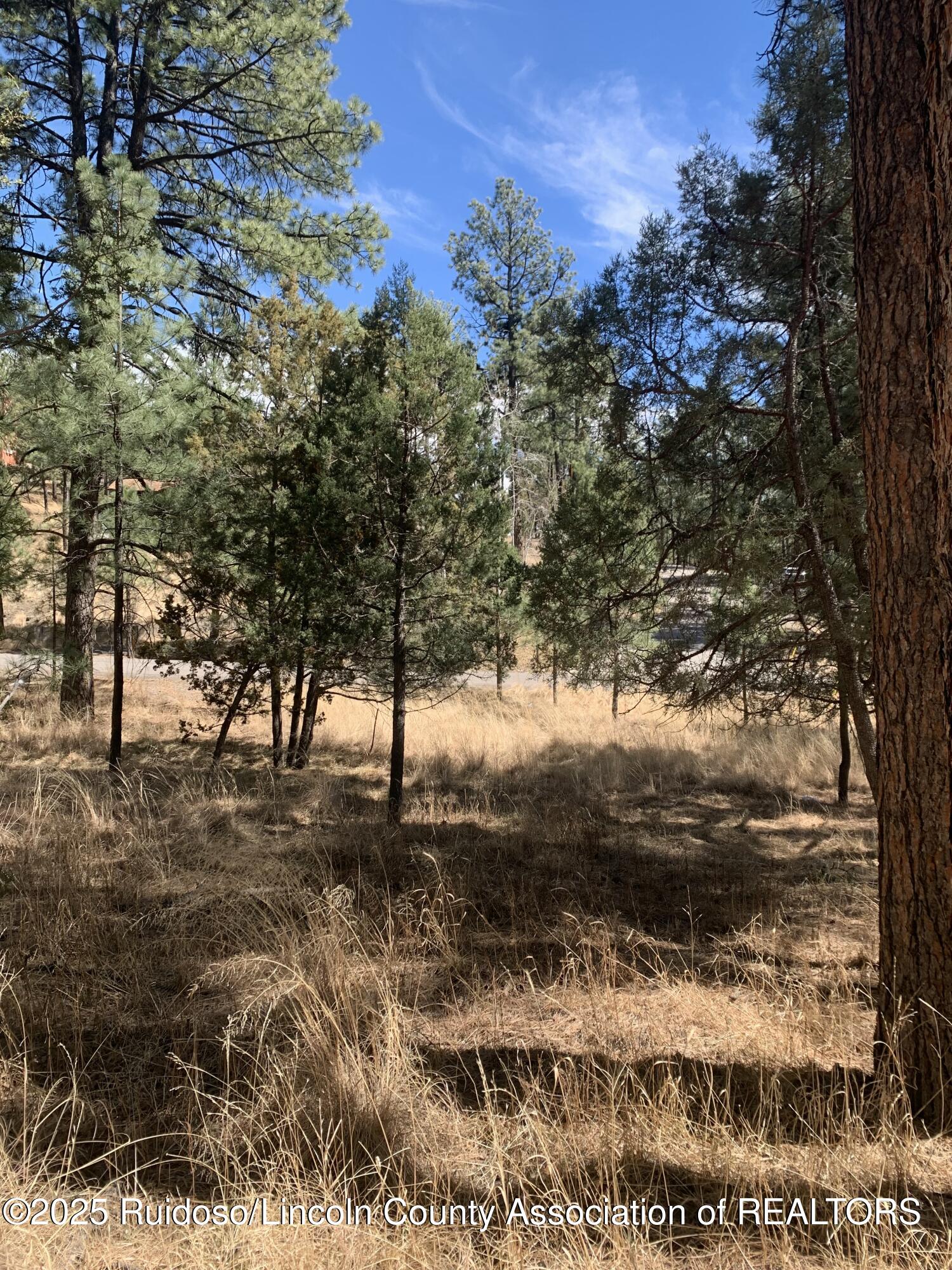 107 Mary Drive, Ruidoso, New Mexico image 6