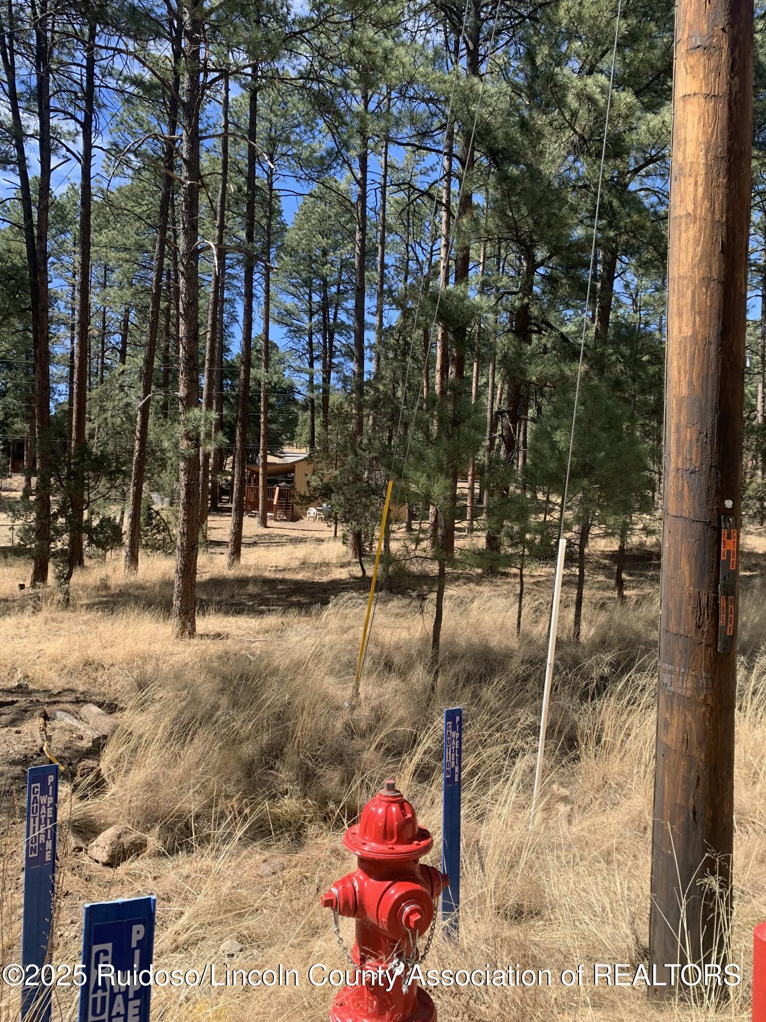 107 Mary Drive, Ruidoso, New Mexico image 10