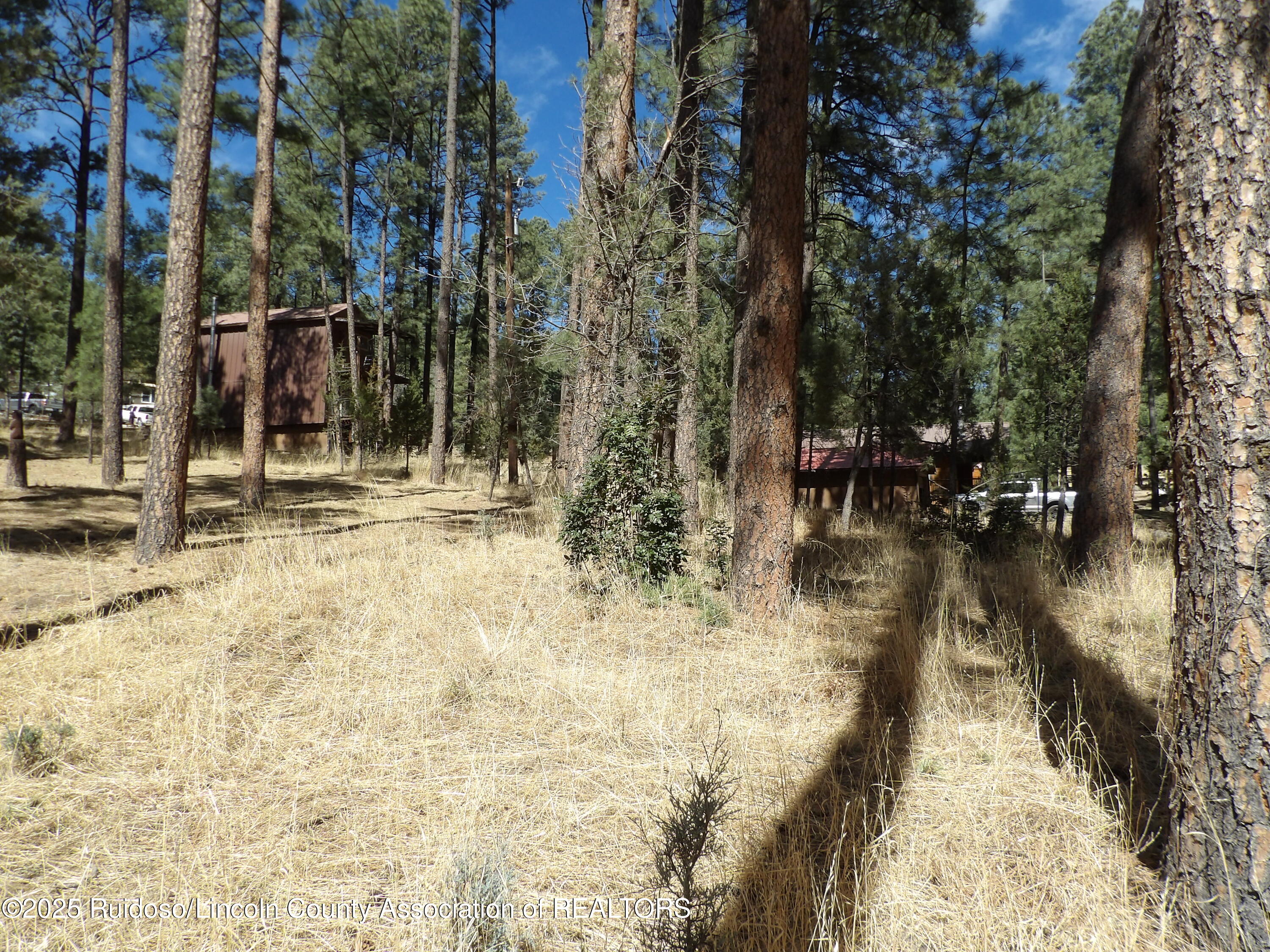 107 Mary Drive, Ruidoso, New Mexico image 4