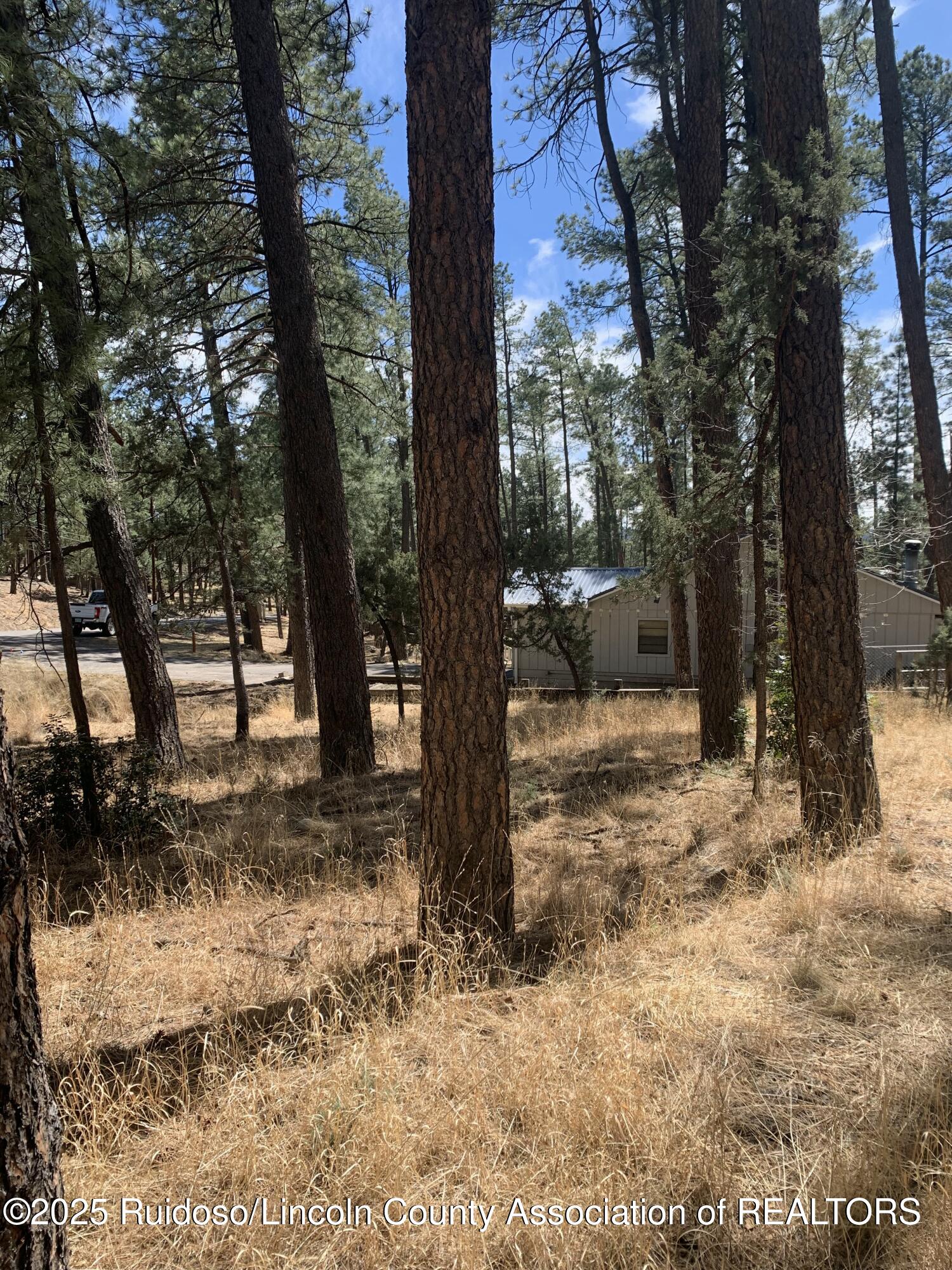 107 Mary Drive, Ruidoso, New Mexico image 7