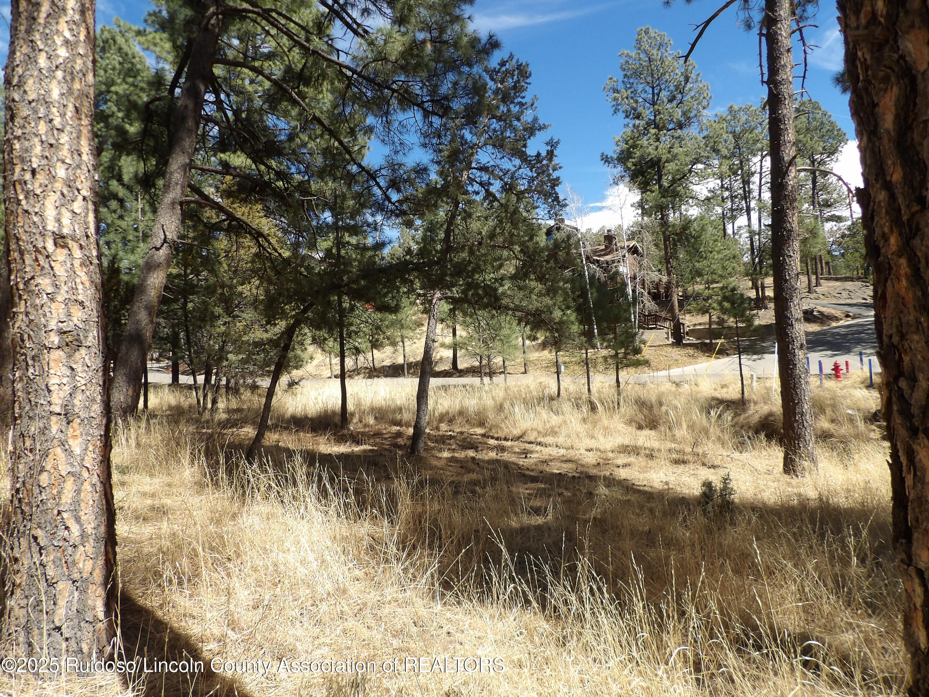 107 Mary Drive, Ruidoso, New Mexico image 3