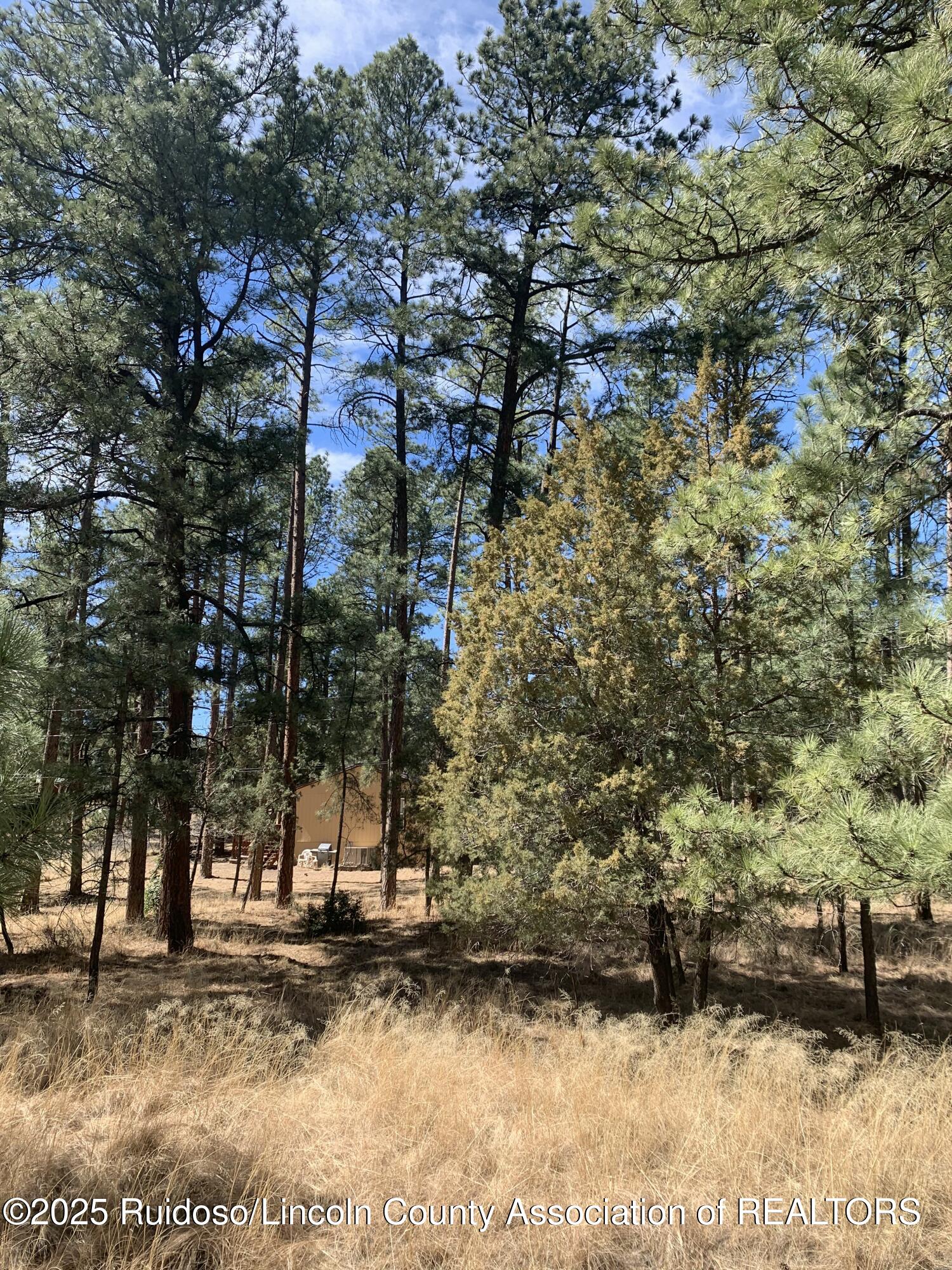 107 Mary Drive, Ruidoso, New Mexico image 9