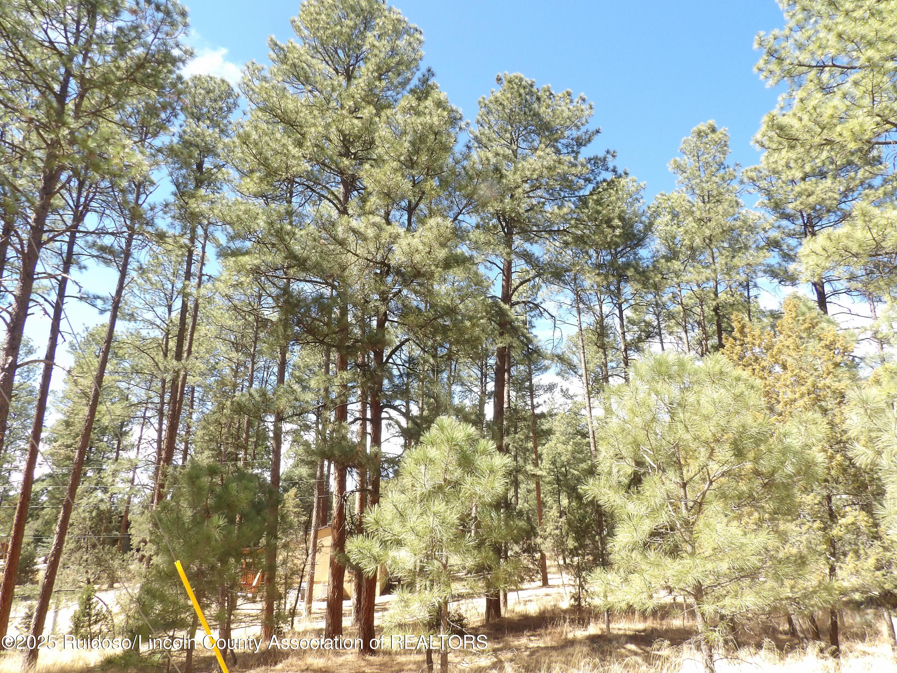 107 Mary Drive, Ruidoso, New Mexico image 2