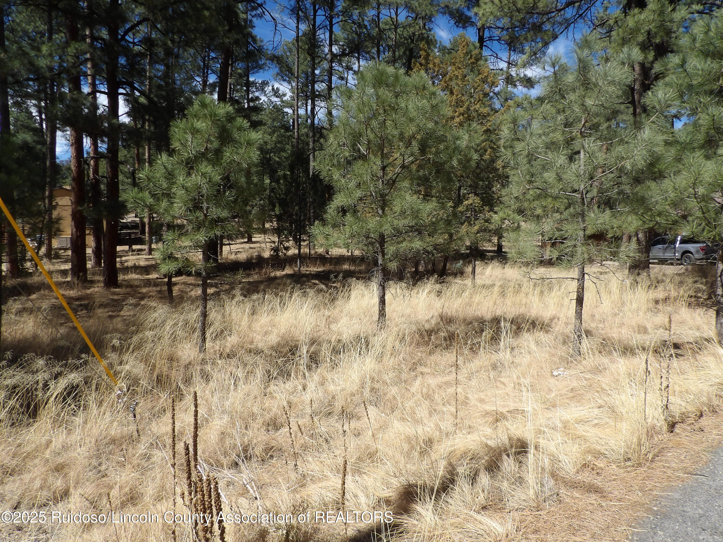 107 Mary Drive, Ruidoso, New Mexico image 1