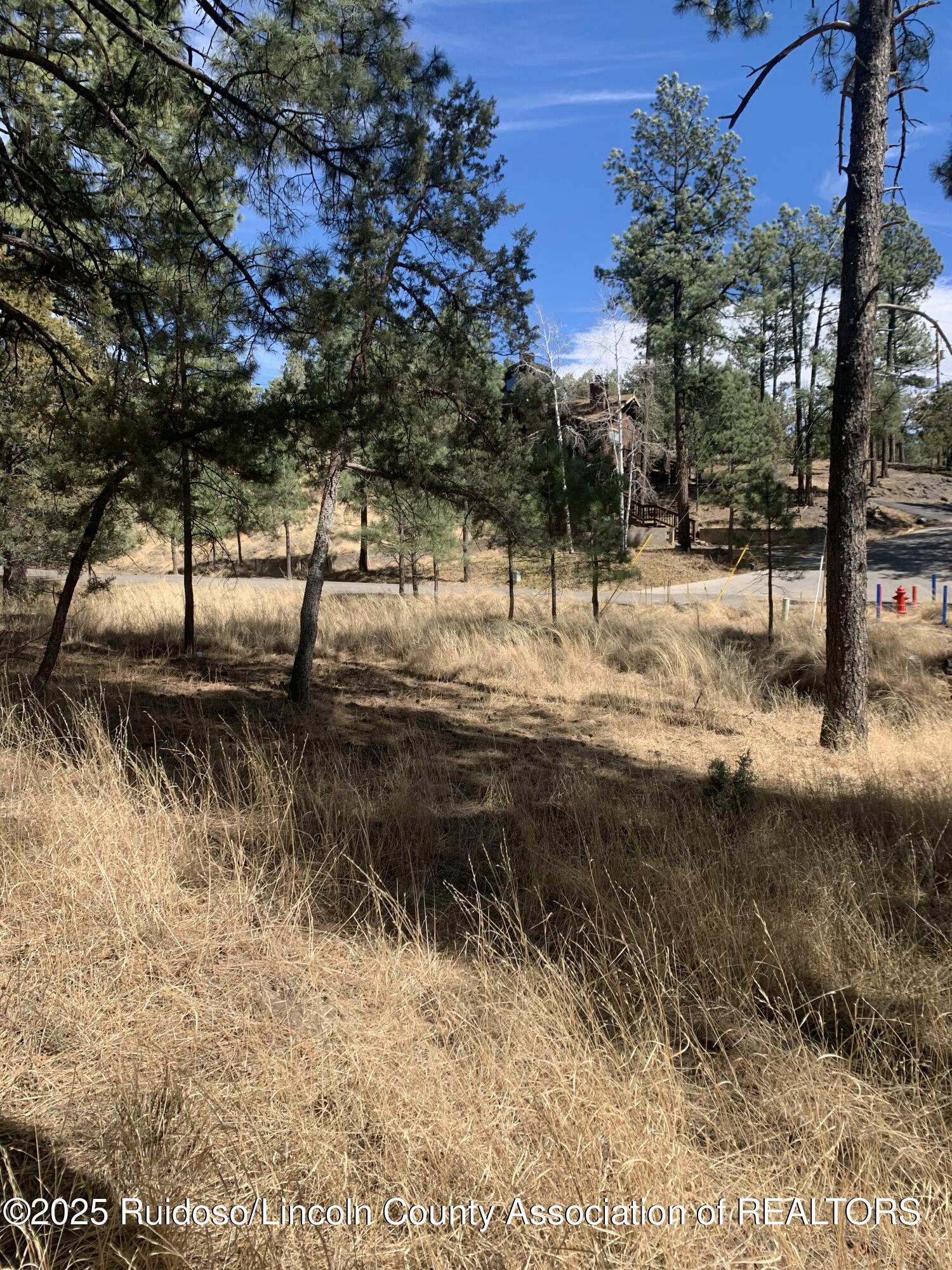 107 Mary Drive, Ruidoso, New Mexico image 5