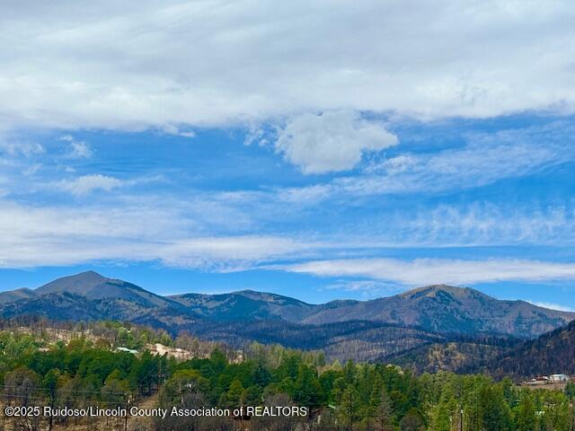 215 Musketball Drive, Ruidoso, New Mexico image 2