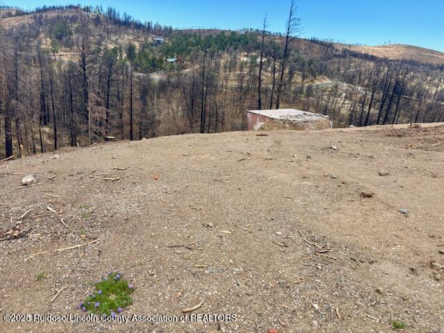 215 Musketball Drive, Ruidoso, New Mexico image 6