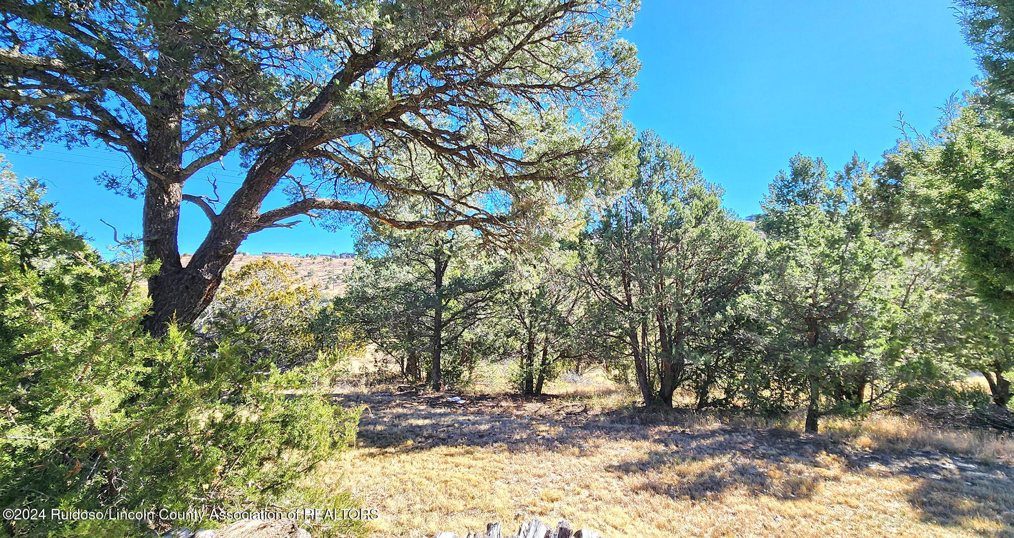 166 Deer Valley Drive Dr, Alto, New Mexico image 48