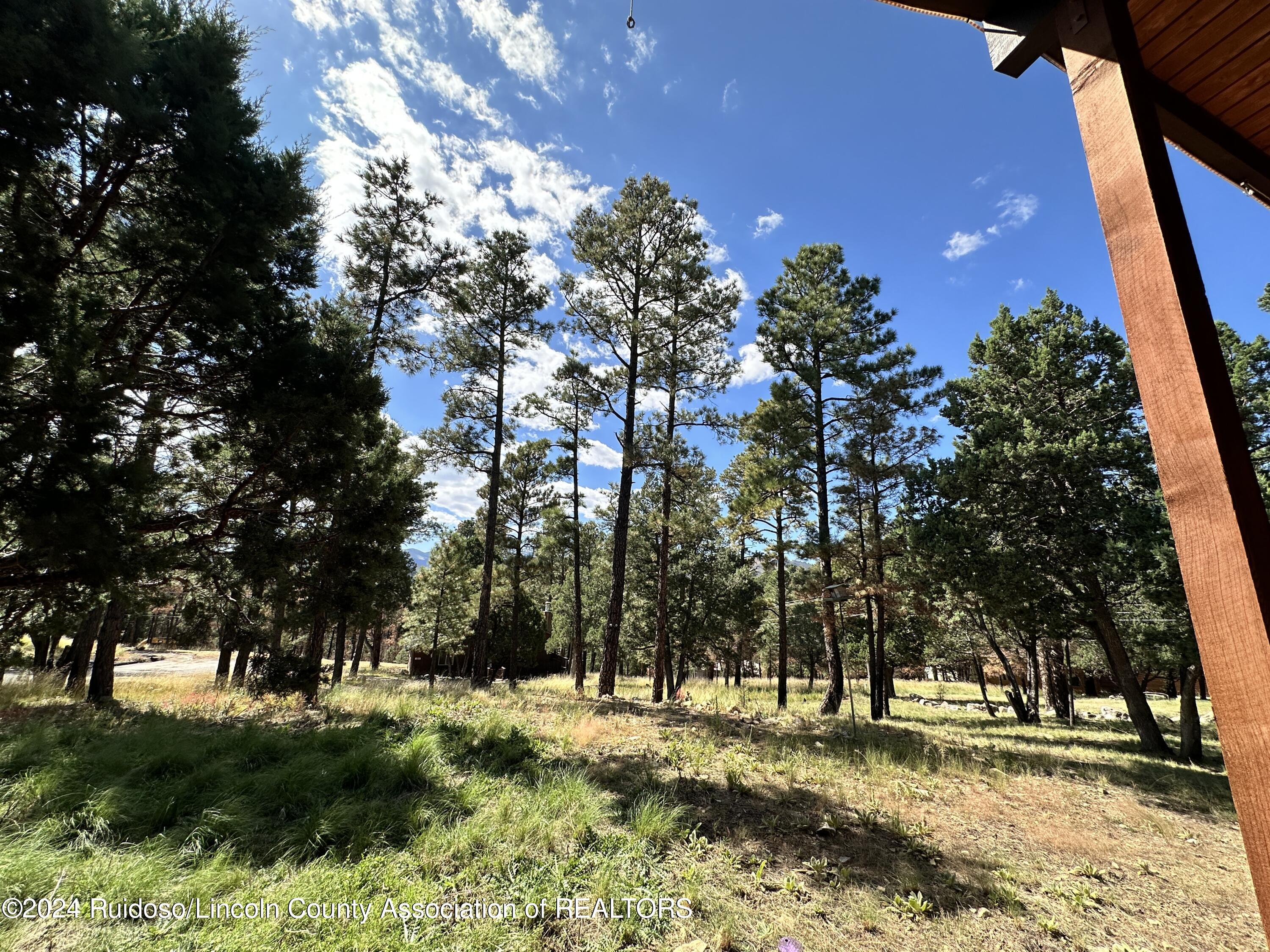 102 Pine Cone Lane, Alto, New Mexico image 11