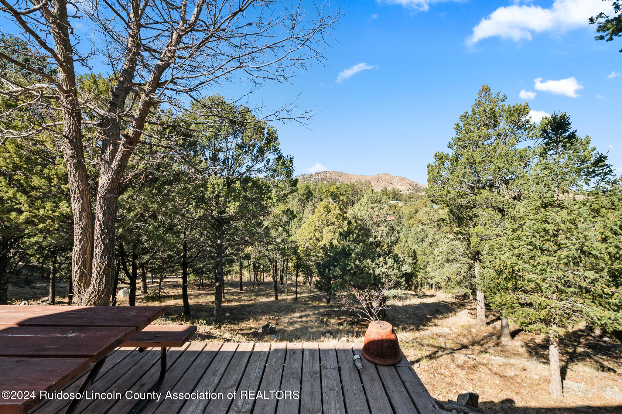 131 Snow Park Road, Alto, New Mexico image 43