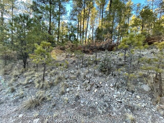 L2-4 Uranus, Timberon, New Mexico image 3