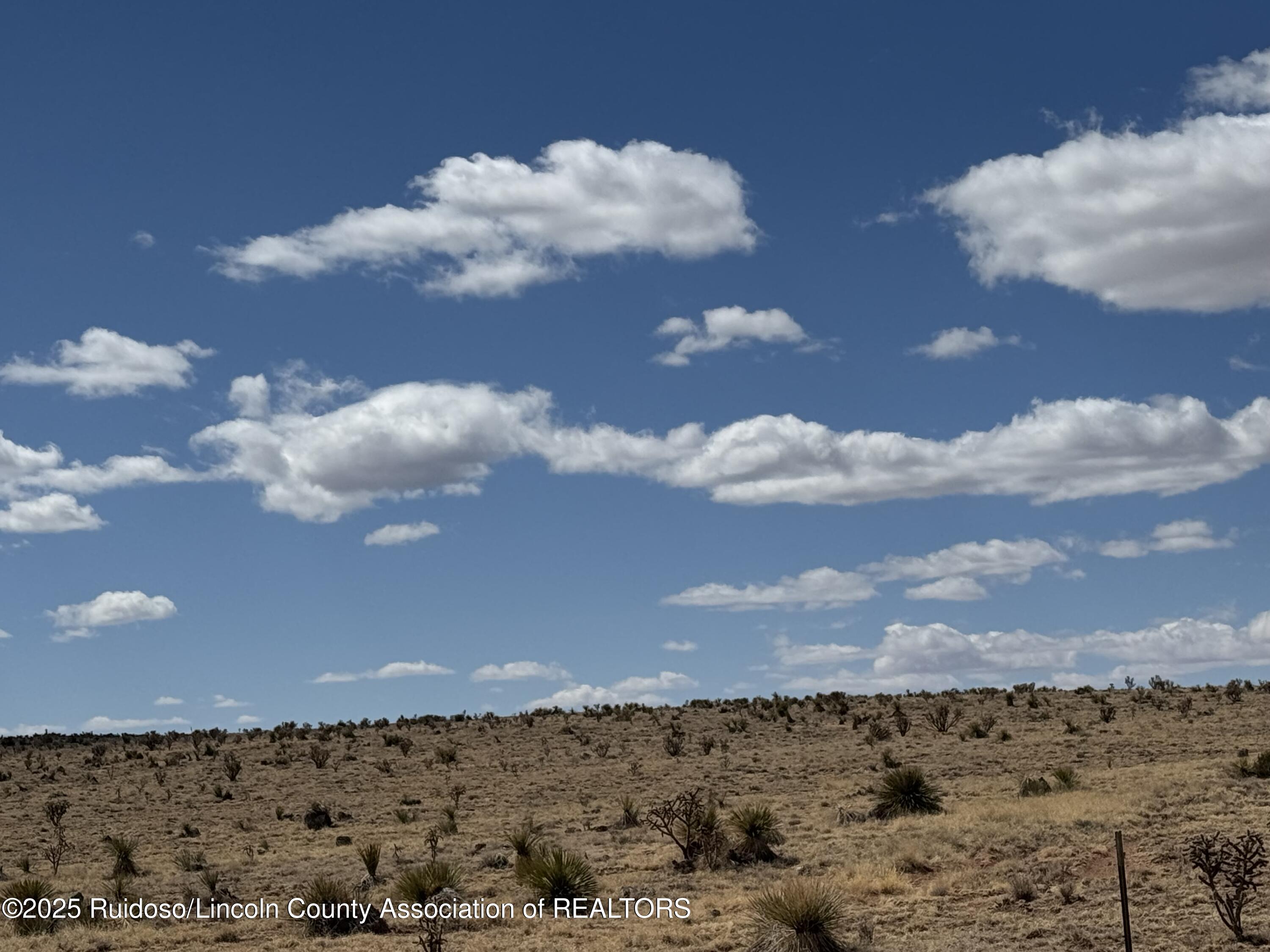 Lot 9 Windmill Ranches, Ancho, New Mexico image 17