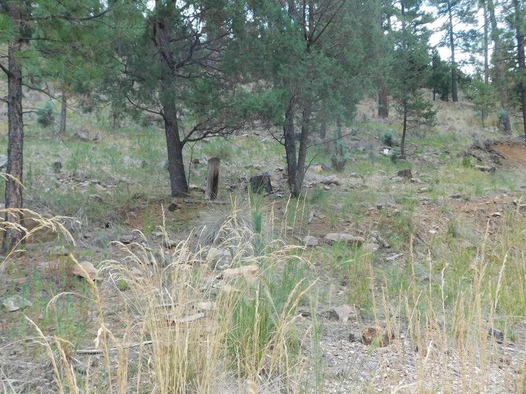 208 Timberline Drive #1, Ruidoso, New Mexico image 6