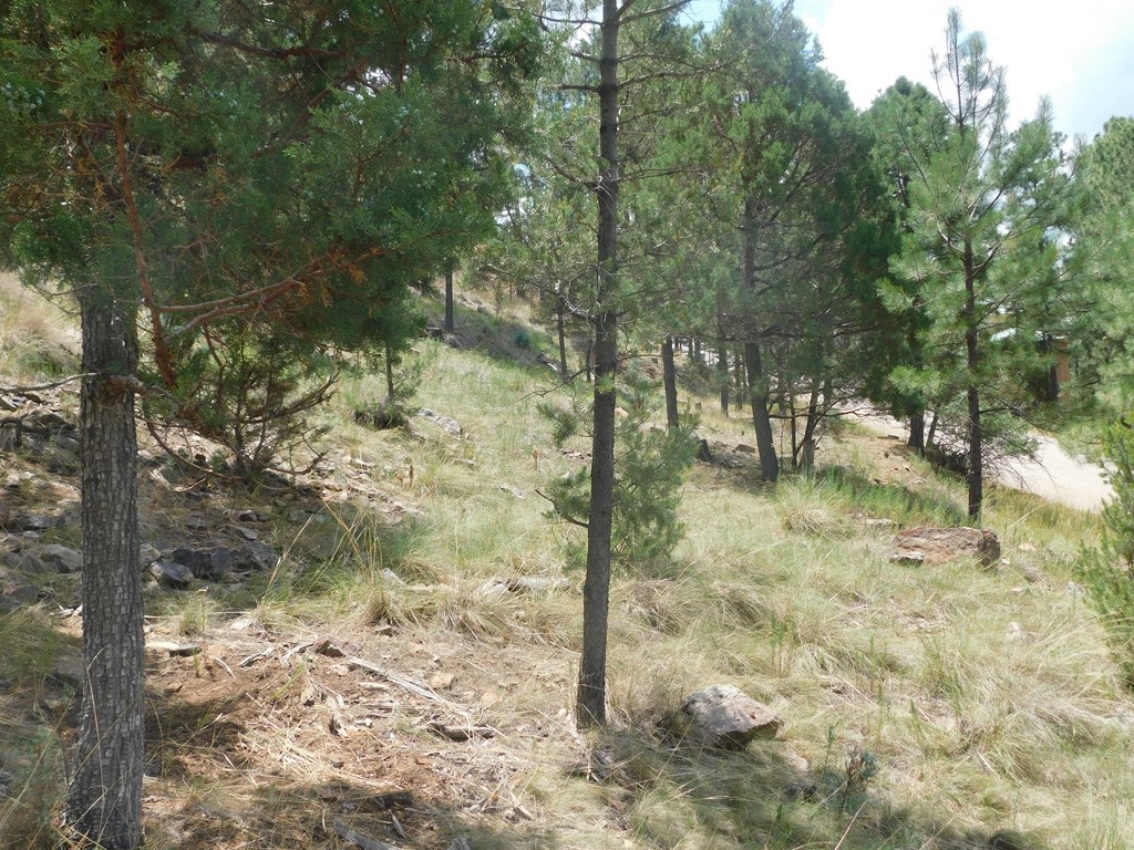 208 Timberline Drive #1, Ruidoso, New Mexico image 13