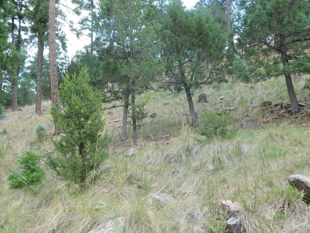 208 Timberline Drive #1, Ruidoso, New Mexico image 10