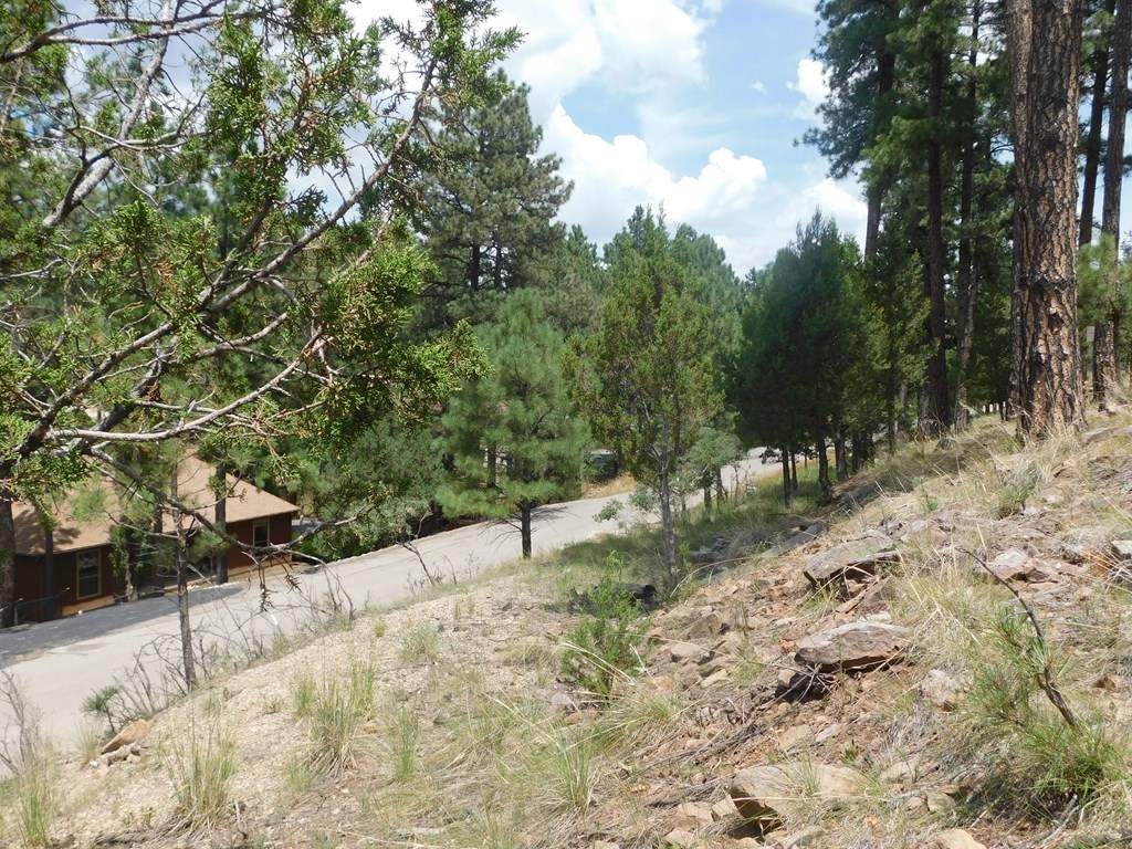 208 Timberline Drive #1, Ruidoso, New Mexico image 15