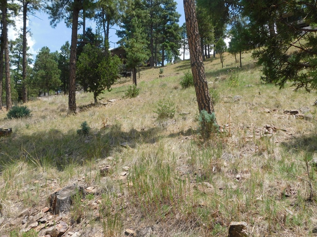 208 Timberline Drive #1, Ruidoso, New Mexico image 17