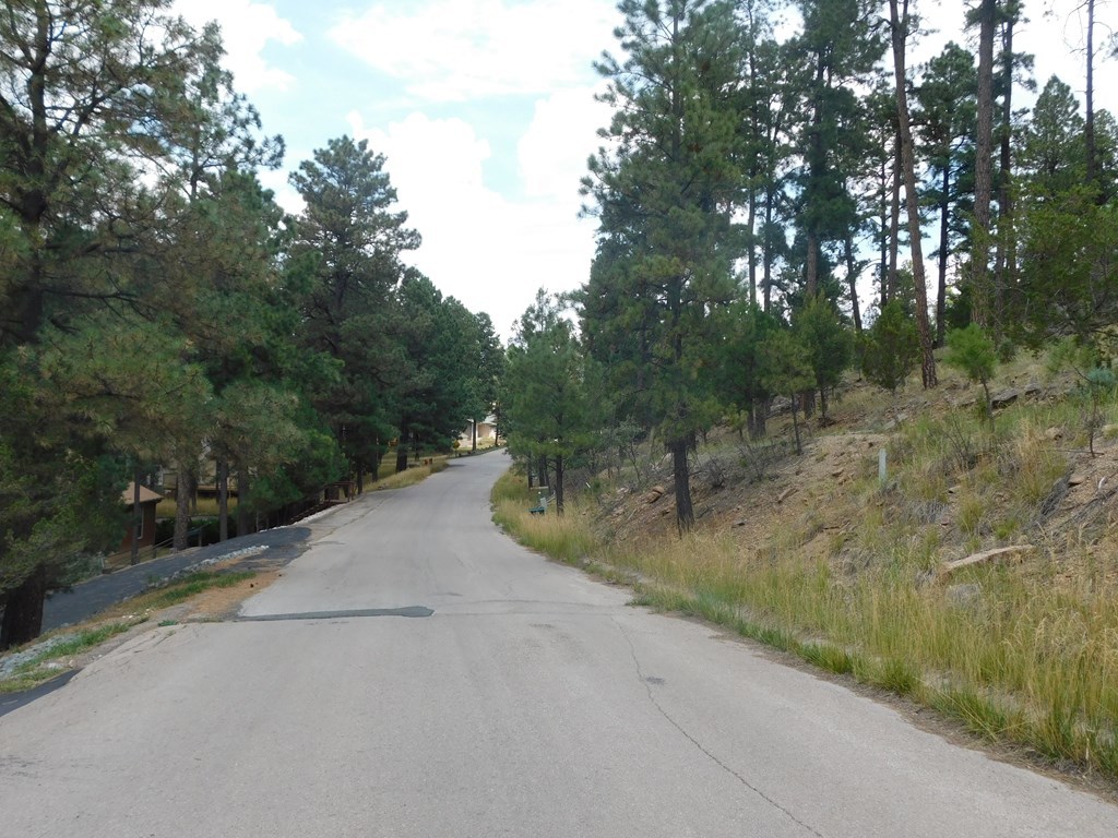 208 Timberline Drive #1, Ruidoso, New Mexico image 3