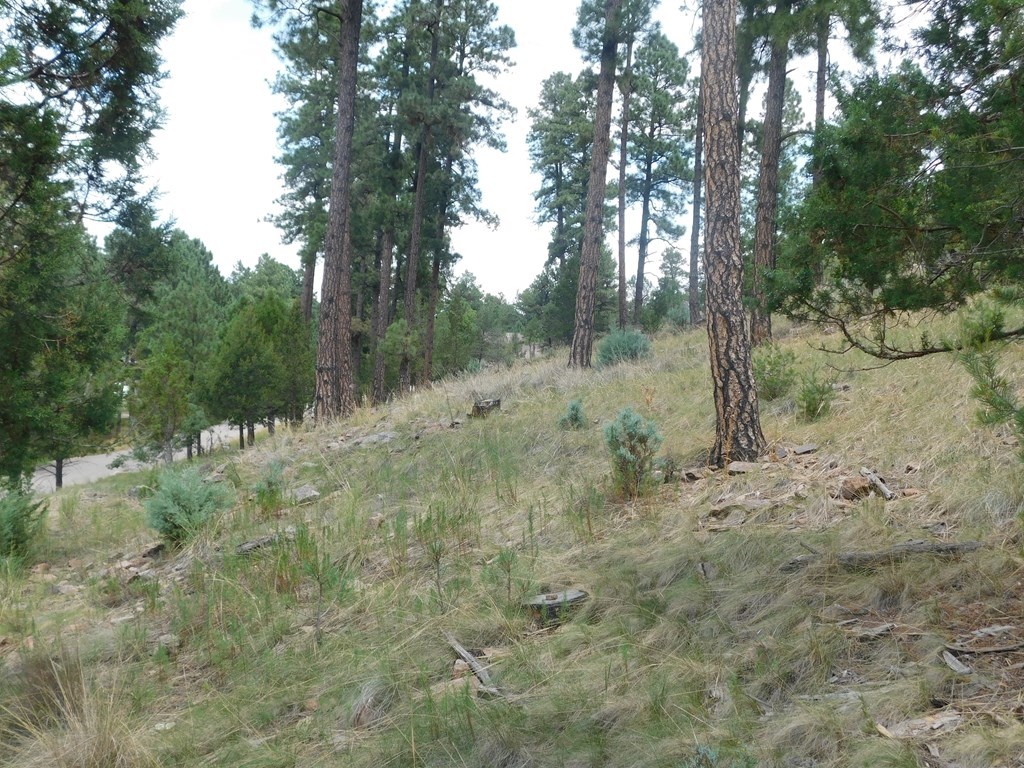 208 Timberline Drive #1, Ruidoso, New Mexico image 11