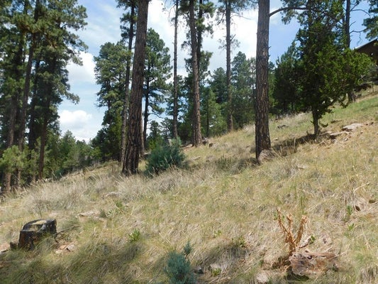 208 TIMBERLINE DR # 1, RUIDOSO, NM 88345 - Image aab2f7c25561d39e1642e2bfbecf4340/4118620964