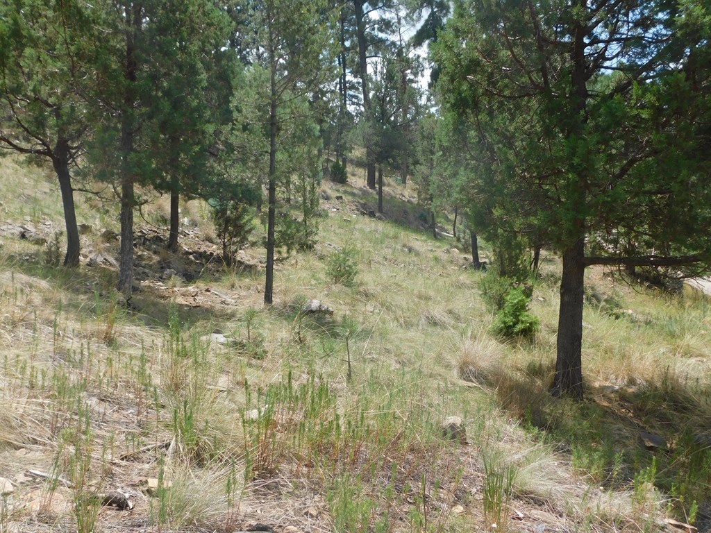 208 Timberline Drive #1, Ruidoso, New Mexico image 16