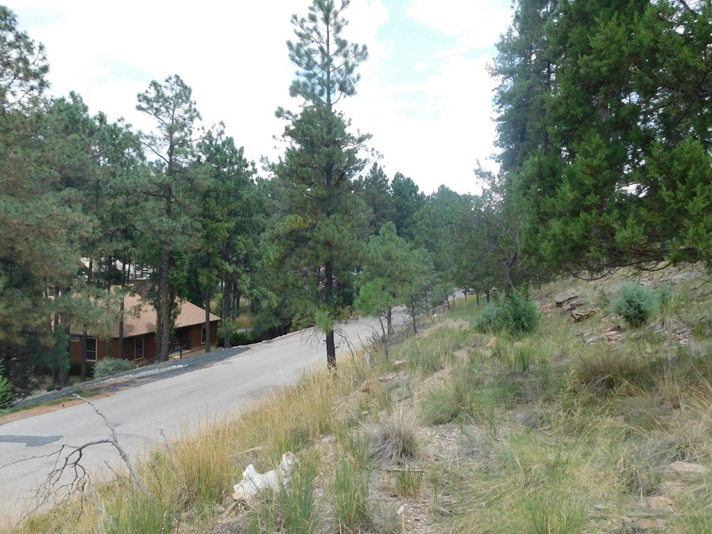 208 Timberline Drive #1, Ruidoso, New Mexico image 8