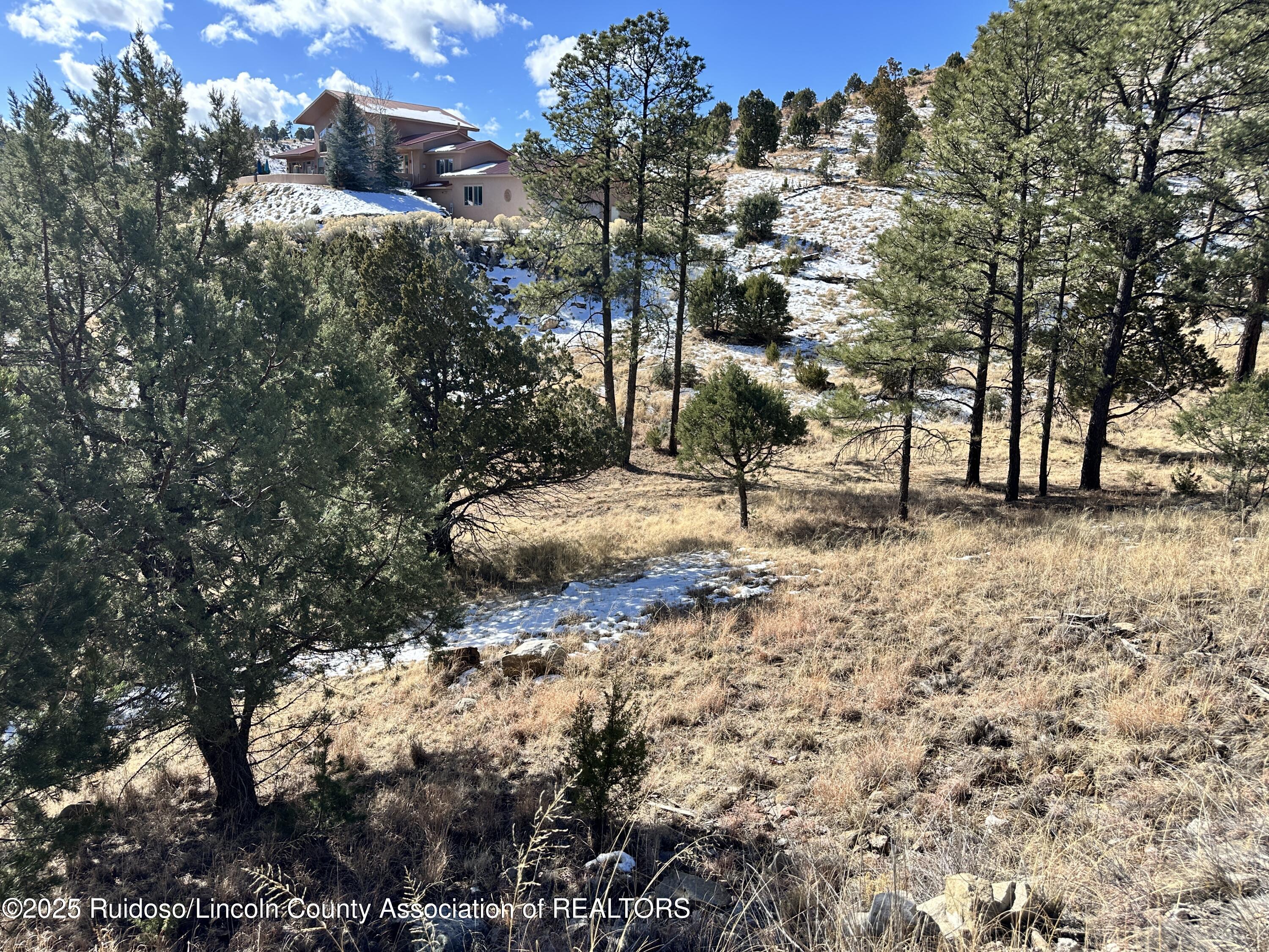 Lot 3 Deer Valley Rd., Alto, New Mexico image 4