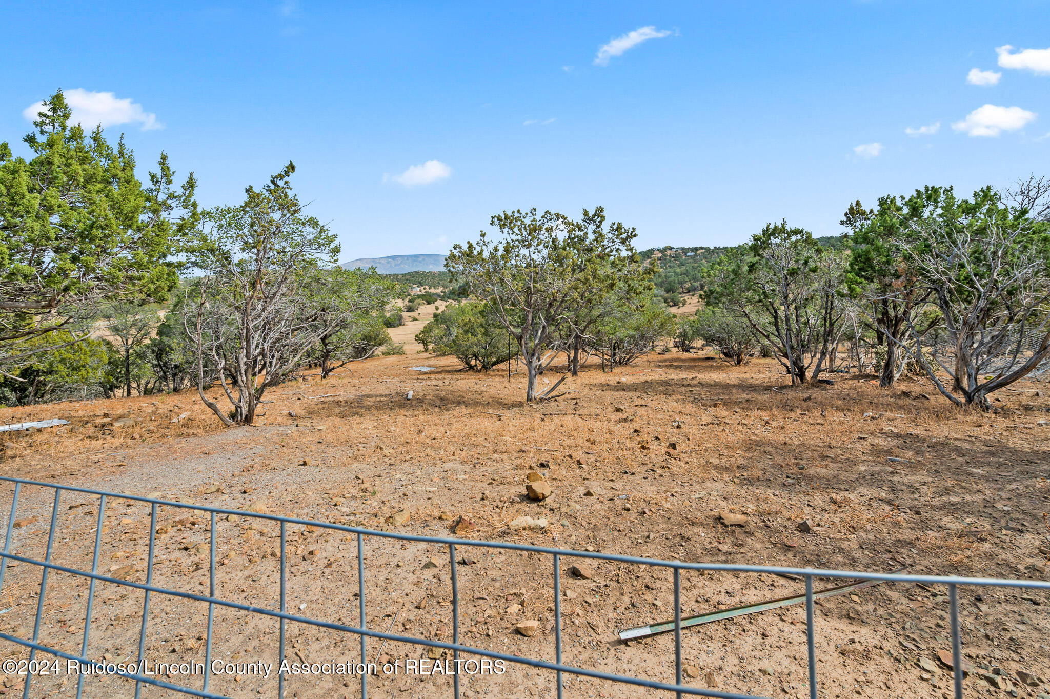 252 Bancroft Road, Capitan, New Mexico image 45