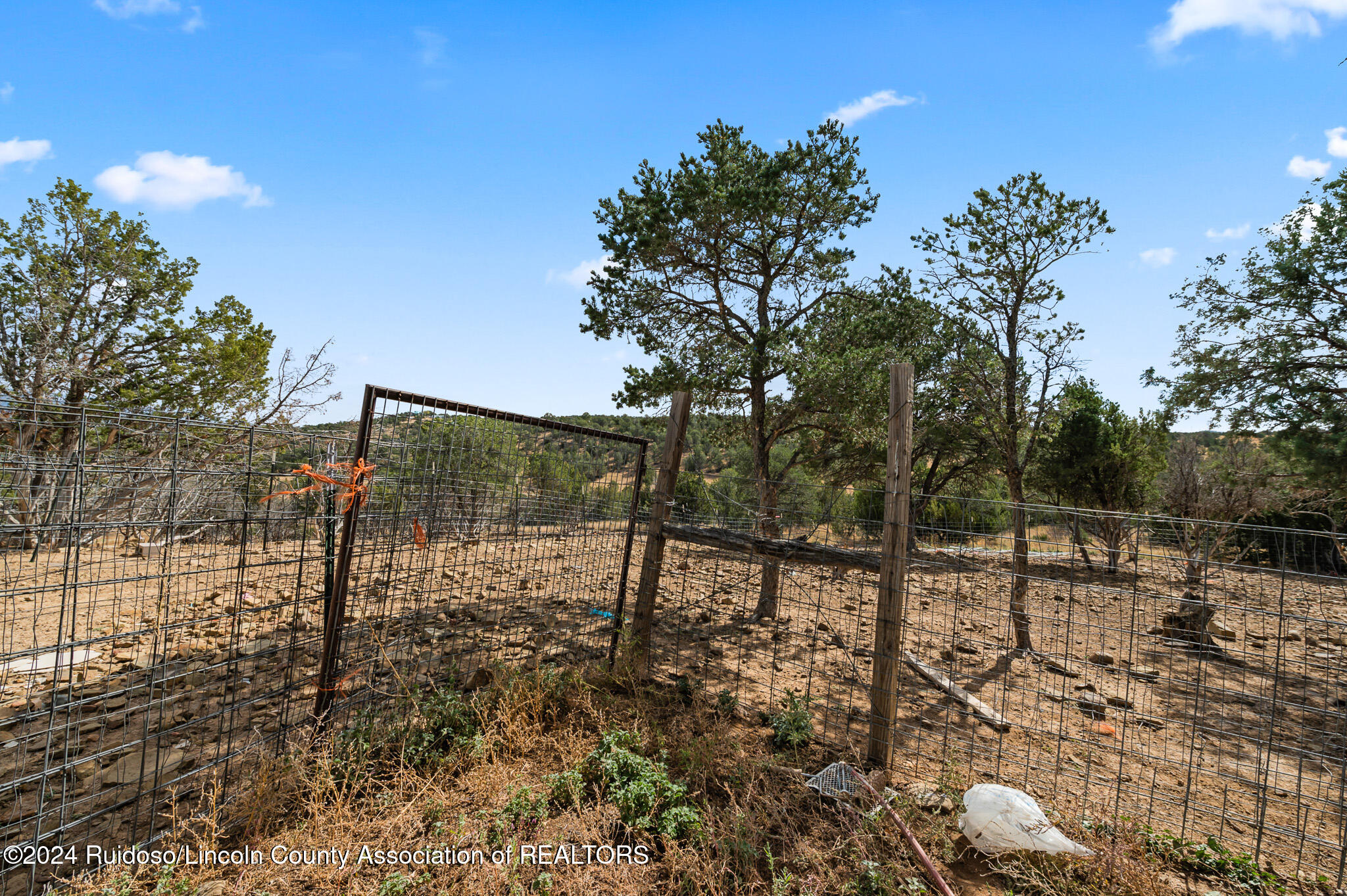 252 Bancroft Road, Capitan, New Mexico image 35