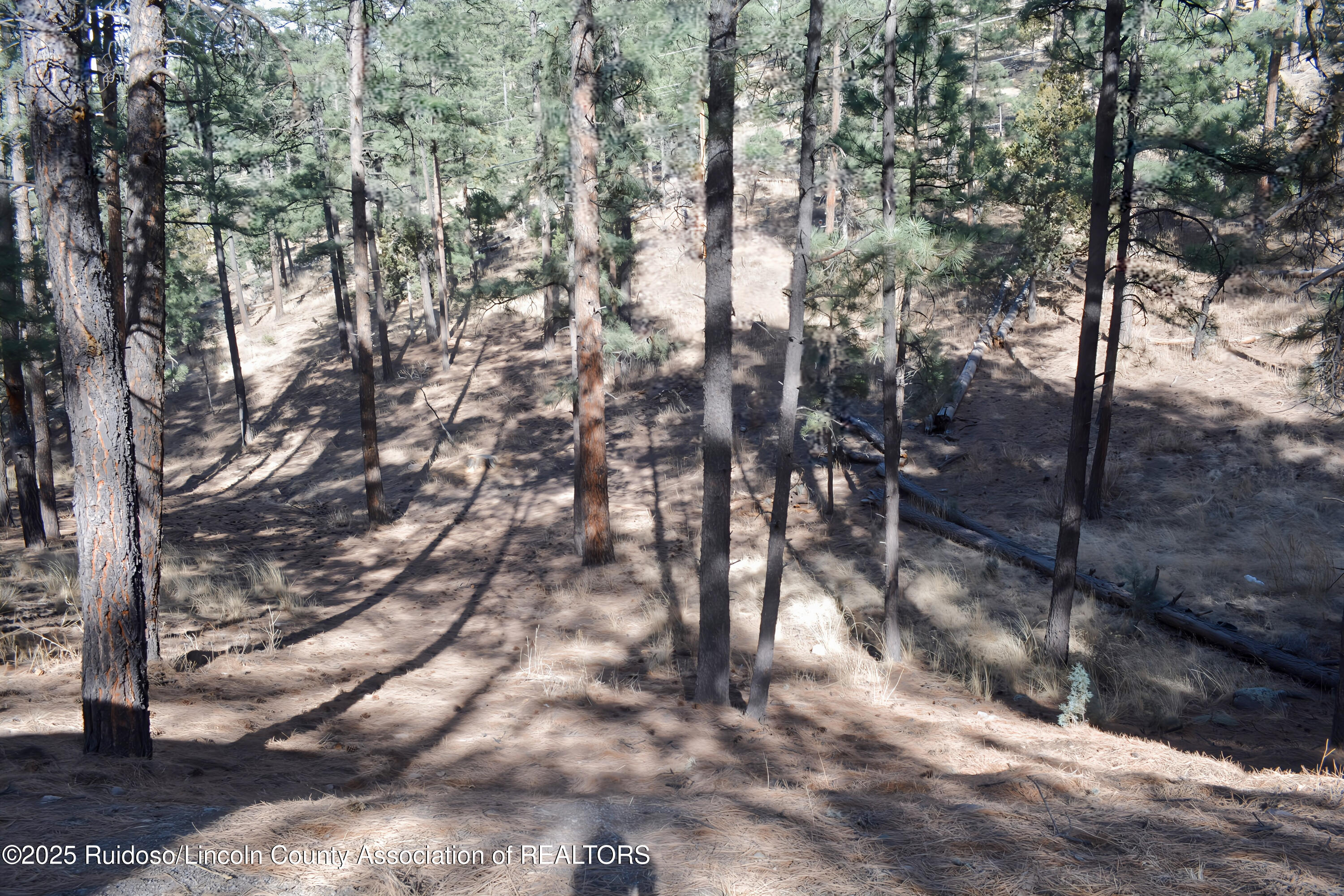 Lot 9 Alto Drive, Alto, New Mexico image 4