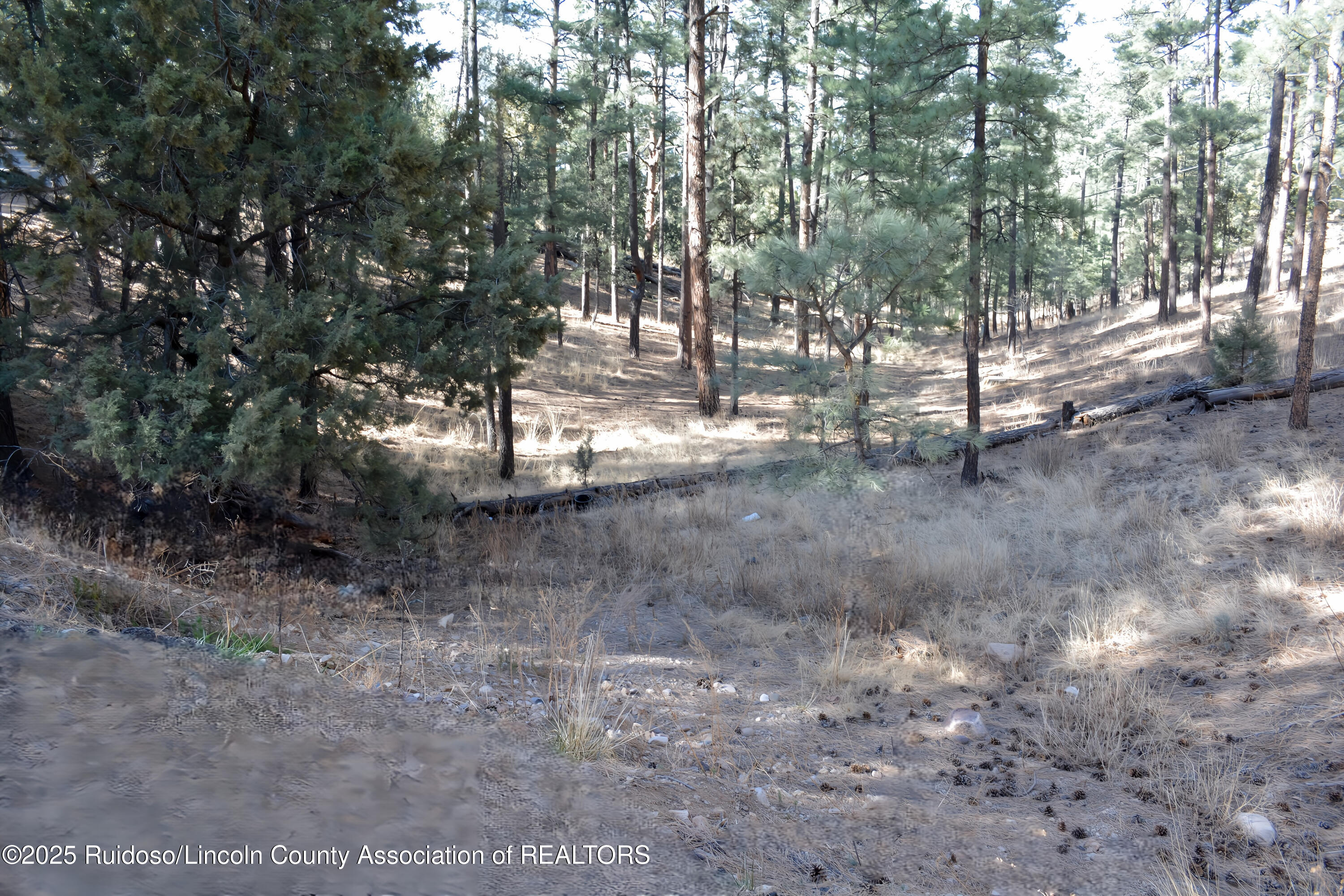 Lot 9 Alto Drive, Alto, New Mexico image 1