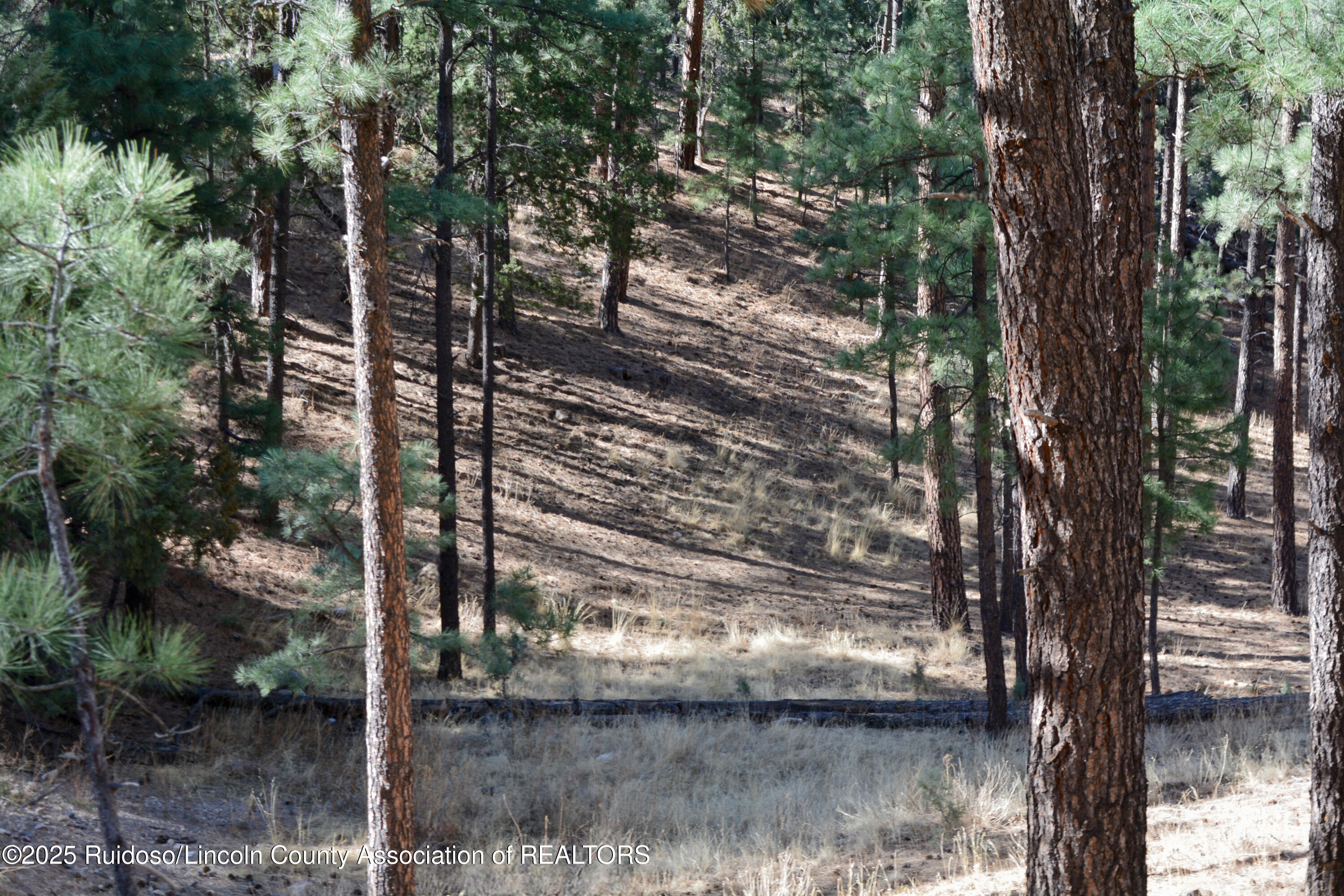 Lot 9 Alto Drive, Alto, New Mexico image 2