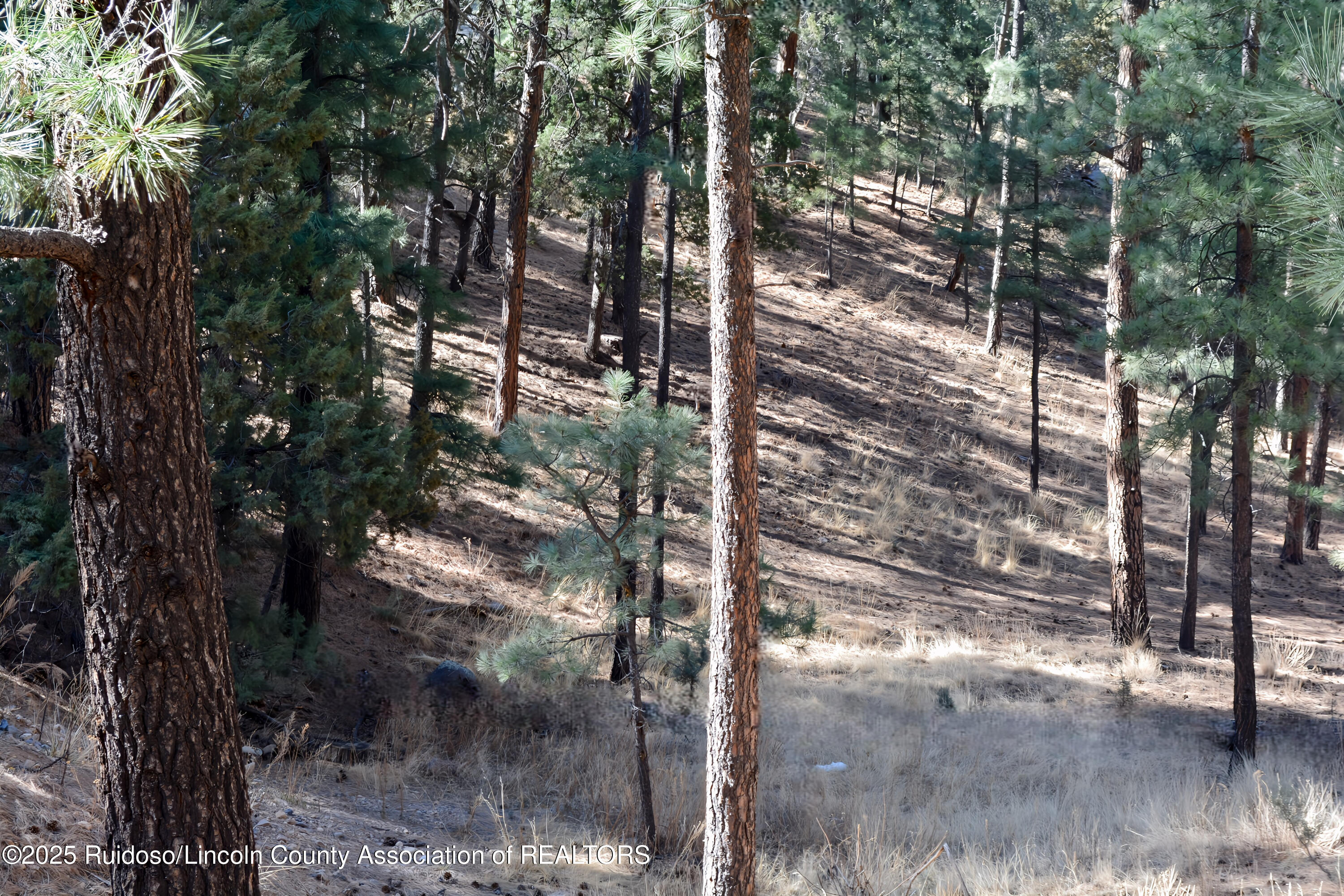 Lot 9 Alto Drive, Alto, New Mexico image 3